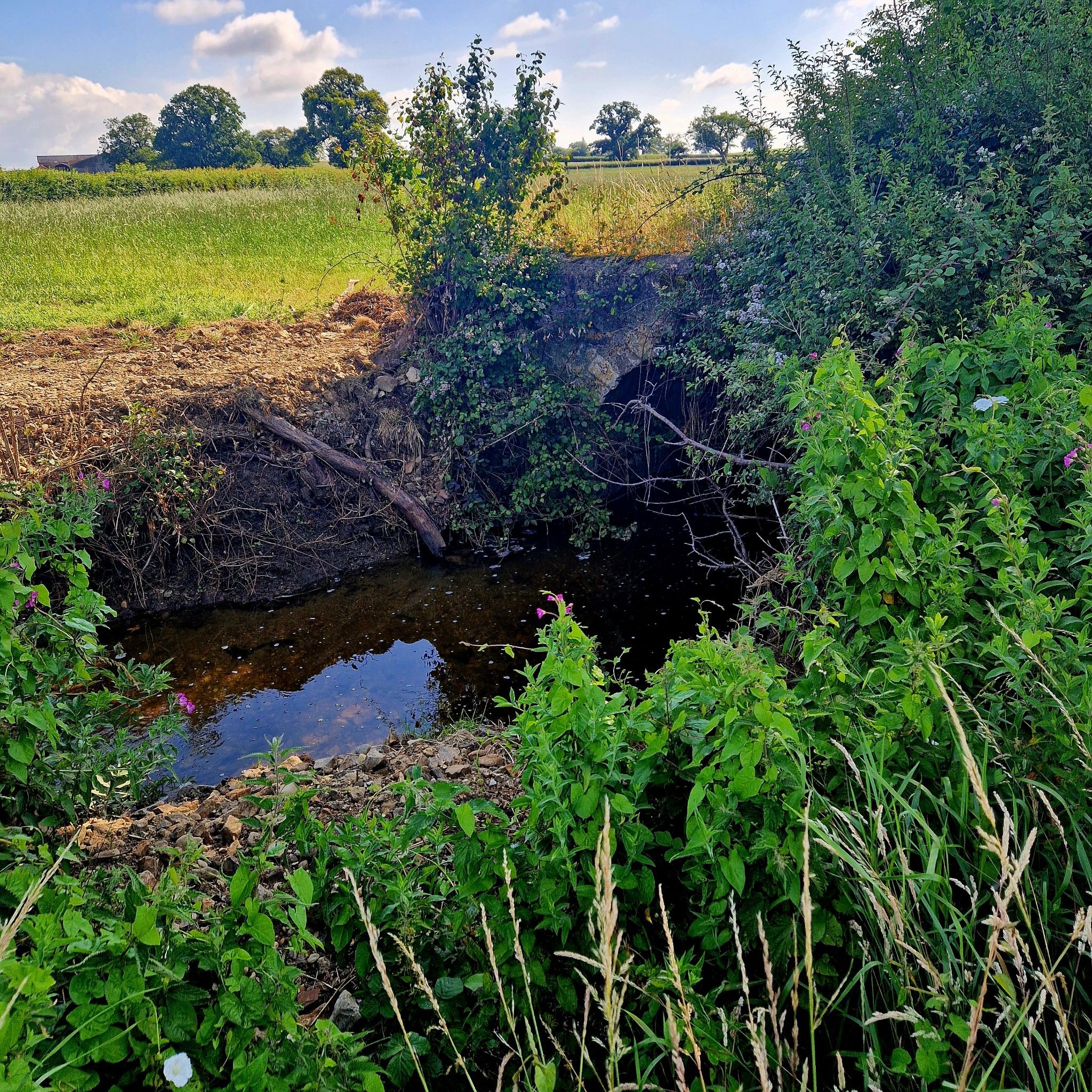 Don't use this bridge, decaying