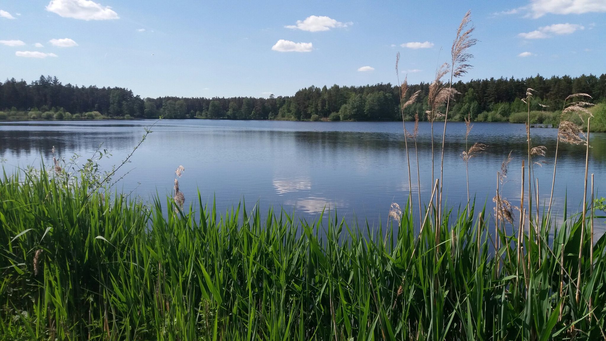 Häuselweiher