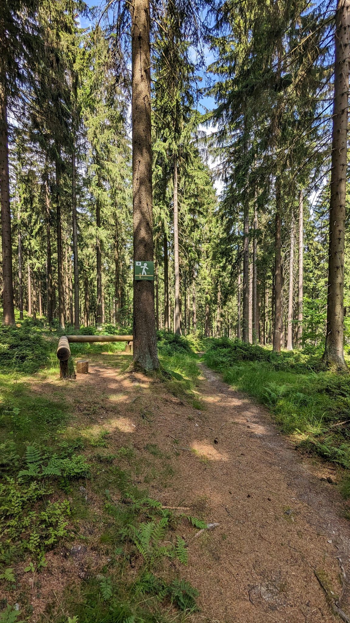 Manche Übungen sind sehr gut ...