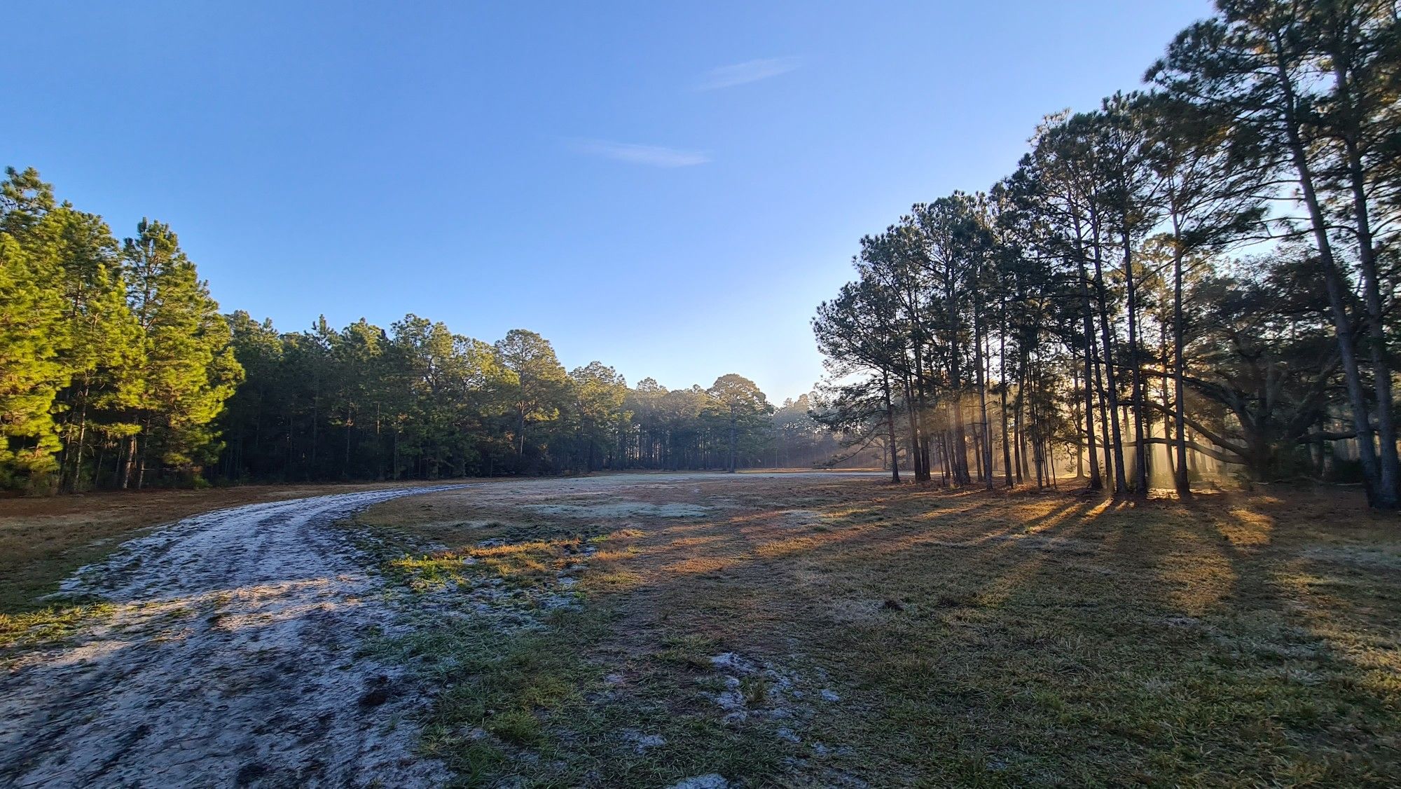 Frosty field with sun rays piercing through trees at sunrise. - Split Oak Forest Wildlife And Environmental Area Loop