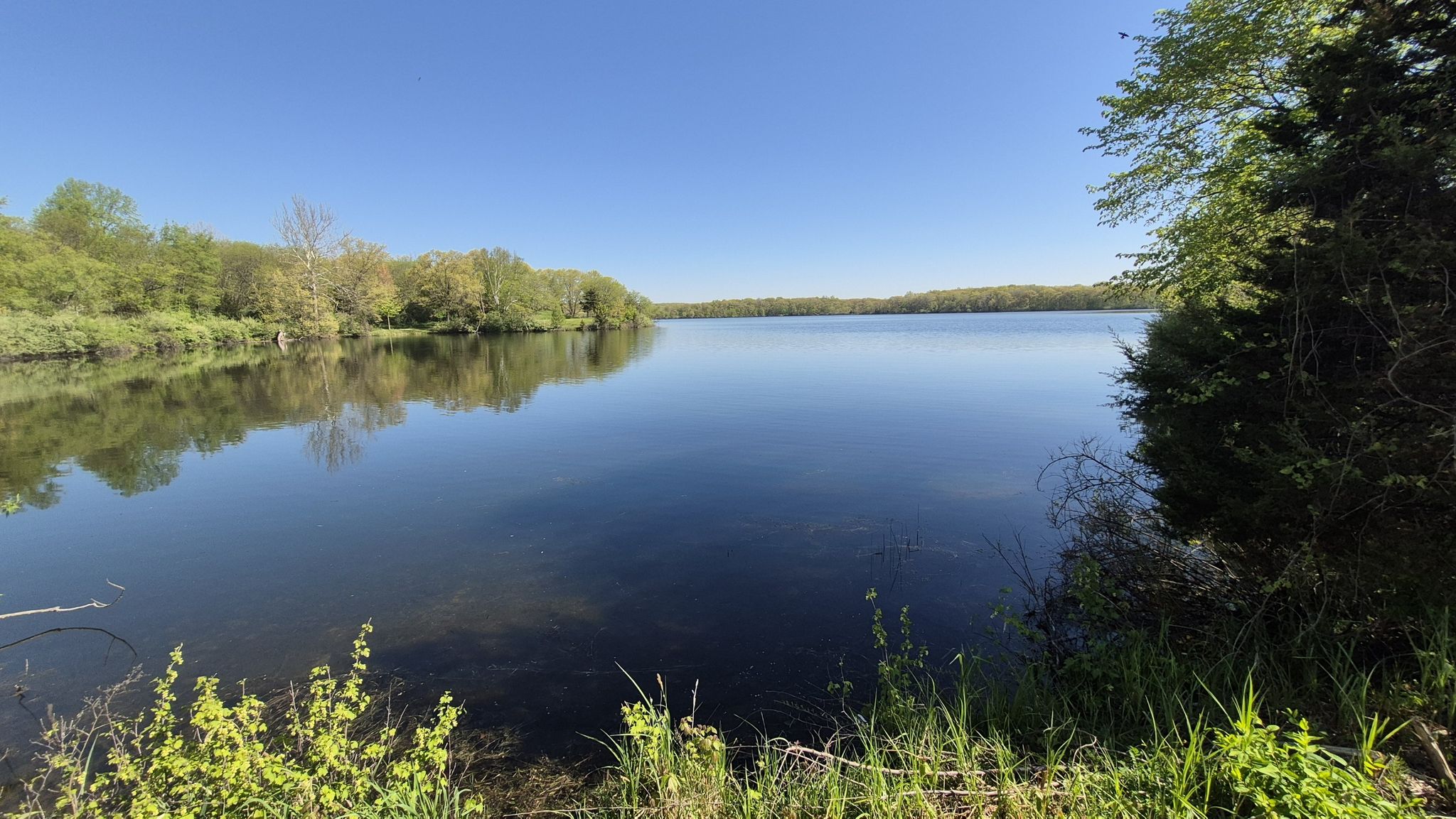 Serene lake reflecting a clear blue sky, surrounded by green trees. - Spring Mill Pond – Buno Road bridge loop from Proud Lake State Recreation Area