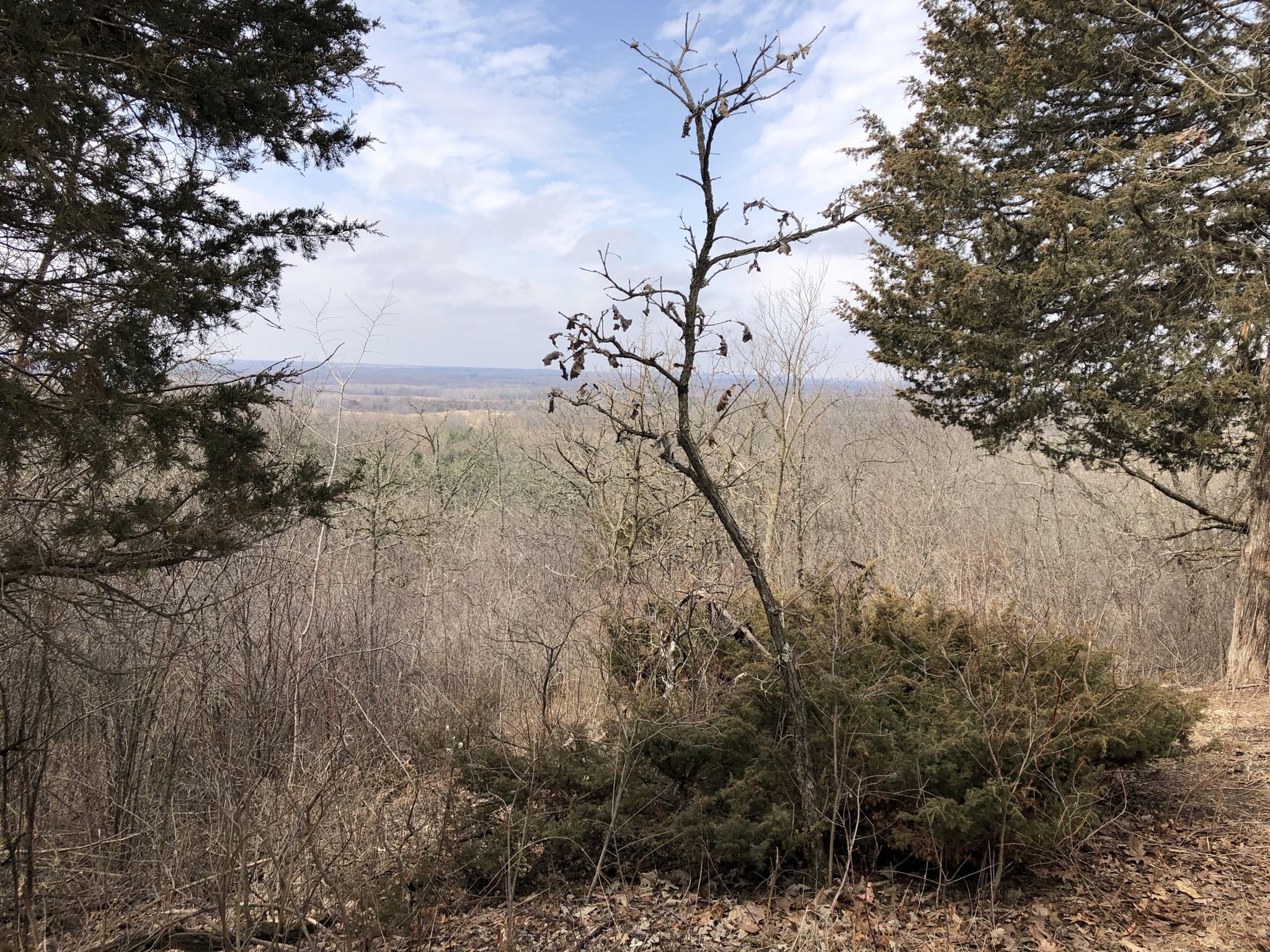 Overlook of a winter forest with bare trees under a cloudy sky. - Kettle Moraine Ice Age Trail Loop