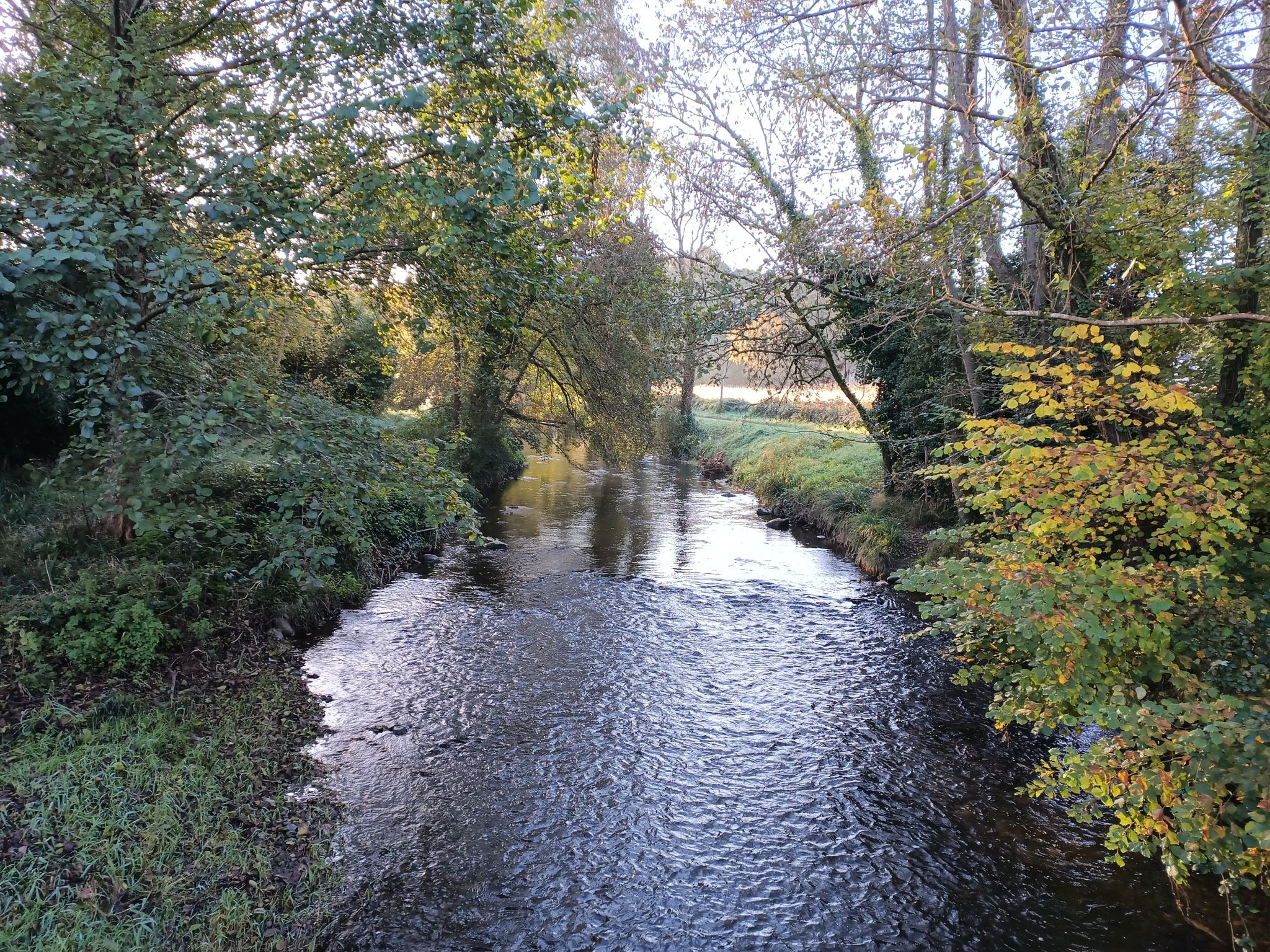 Rivière OUSSE