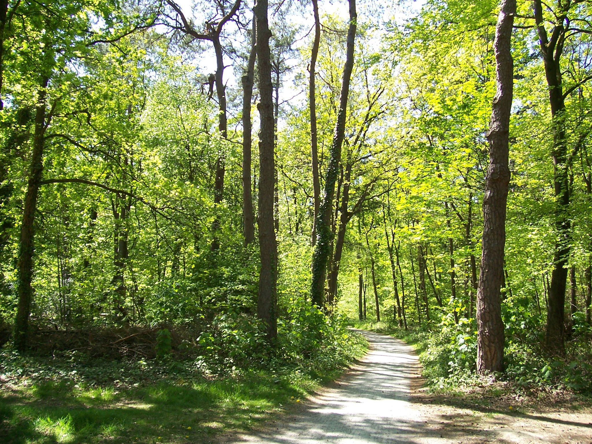 Naturschutzgebiet Emmerdennen, ein tolles Wald-u. Heidegebiet