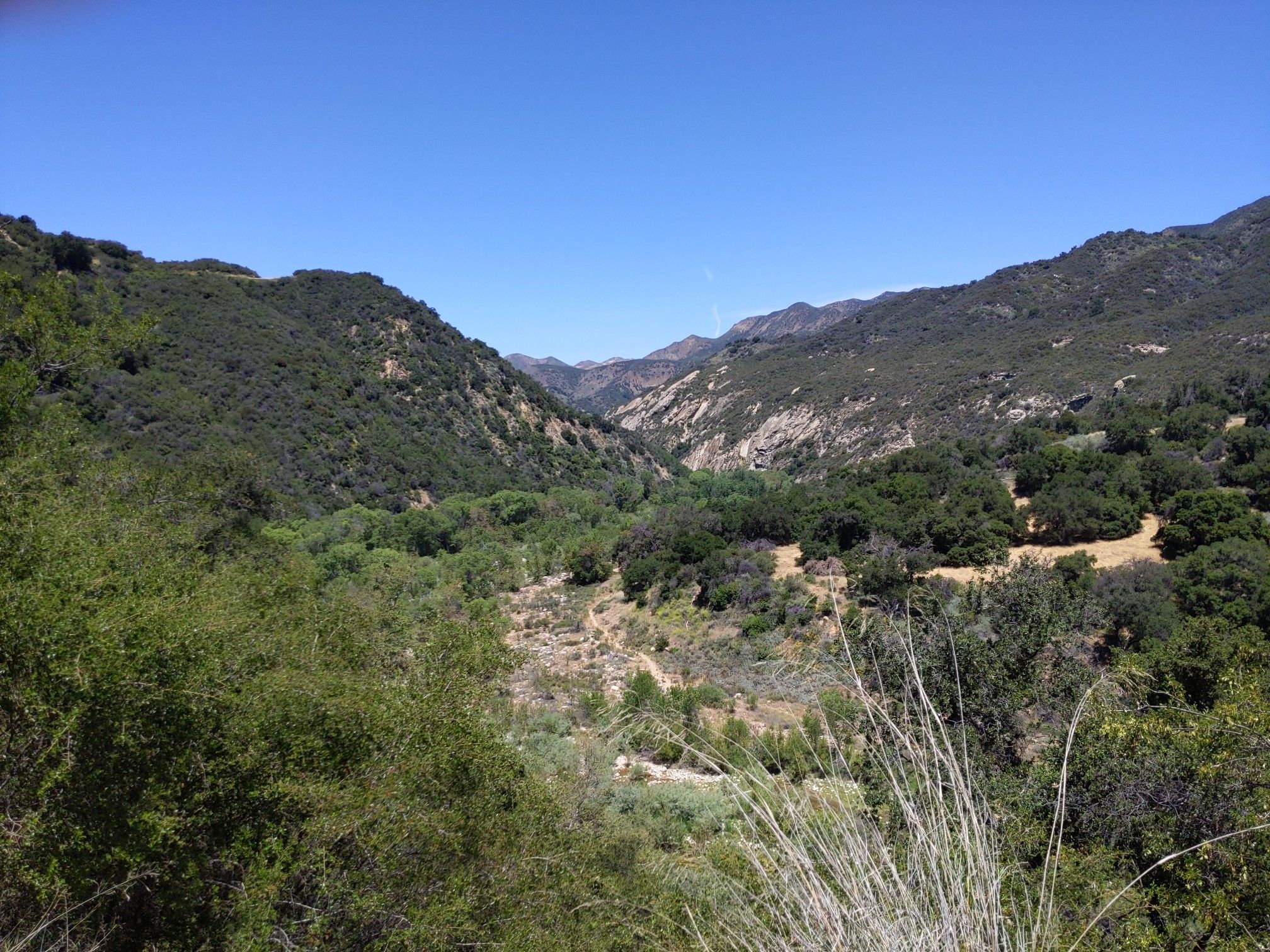Expansive view of a lush green valley and distant mountains under a clear sky. - Red Rock Trail Loop