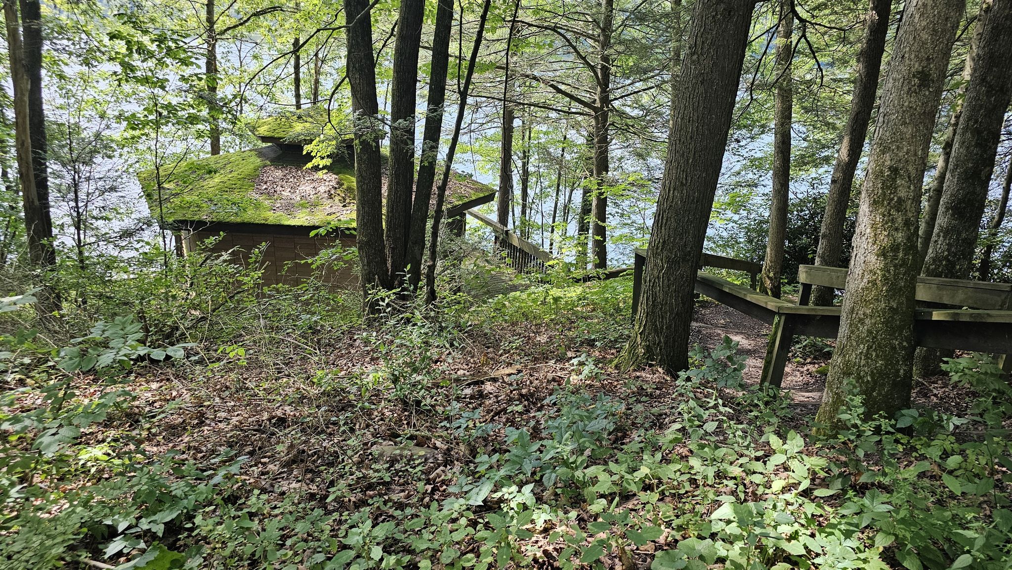 A mossy building and wooden bench in a sunlit forest by water. - Tuscarora Lake Perimeter Loop