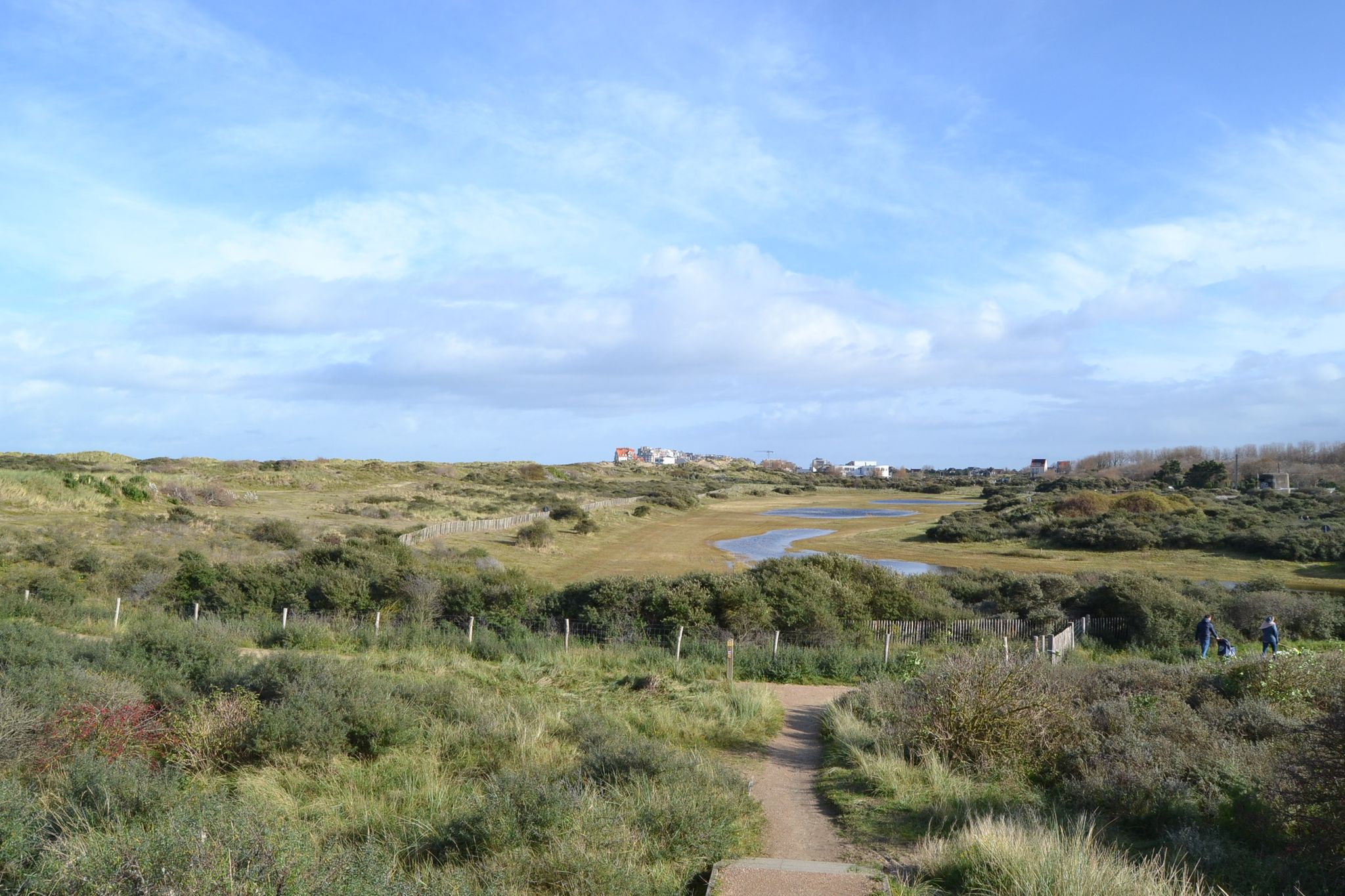 Sint-Laureinsduinen