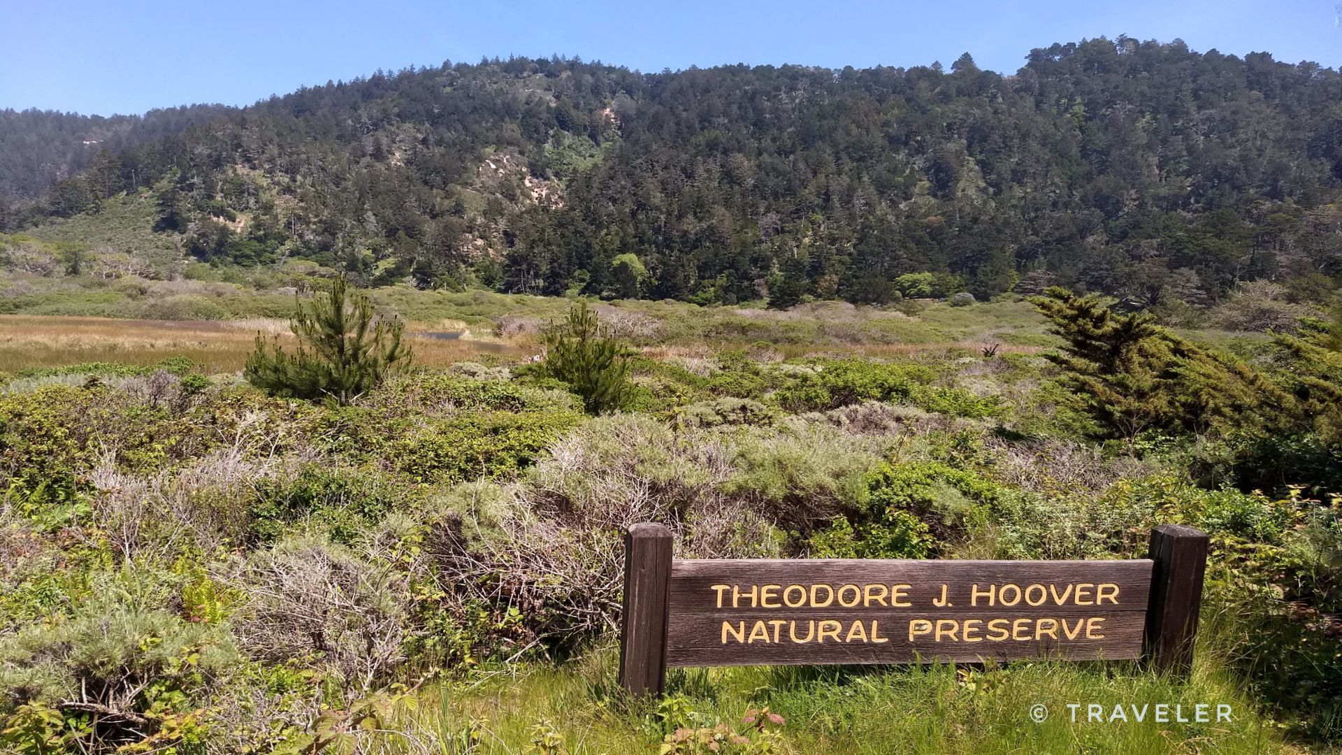 Wooden sign in a grassy field with a forested hill in the background. - Hiking loop from Theodore J. Hoover Natural Preserve