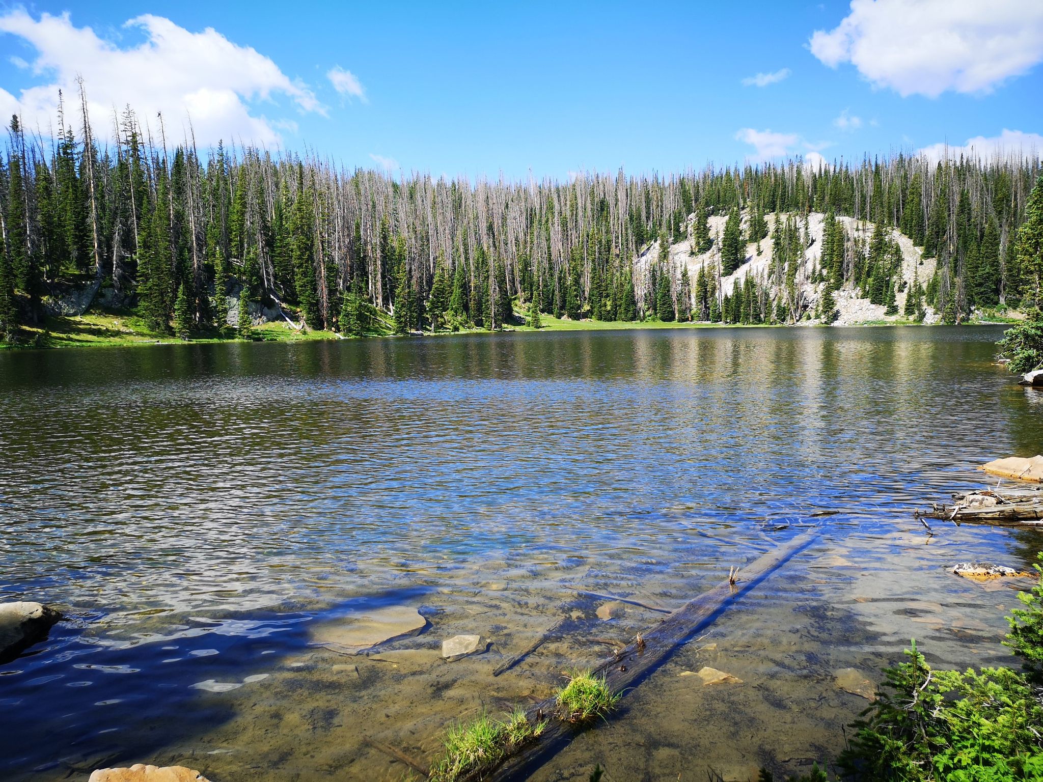 Clear lake reflecting bright sky, surrounded by dense pine forest. - Silver Lake Trail