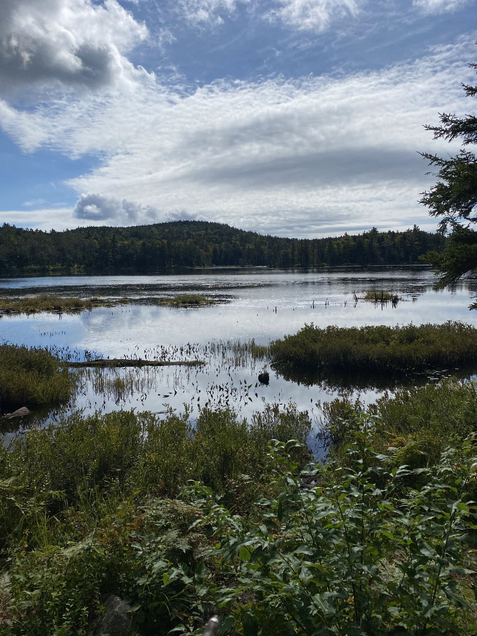 A marshy lake with forested hills under a cloudy sky. - Round Pond and Gilford Fire Road Loop
