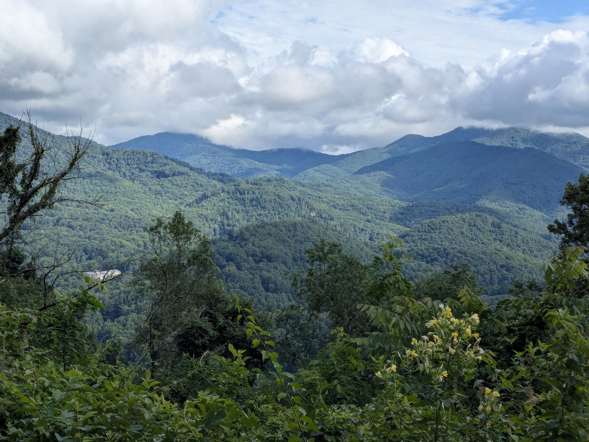 Lush green forested mountains under a cloudy sky, viewed from an overlook. - Mountains-to-Sea Trail: Segment 2