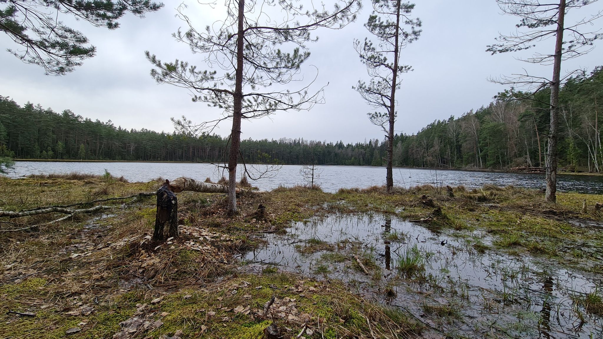 Barsukyno lake