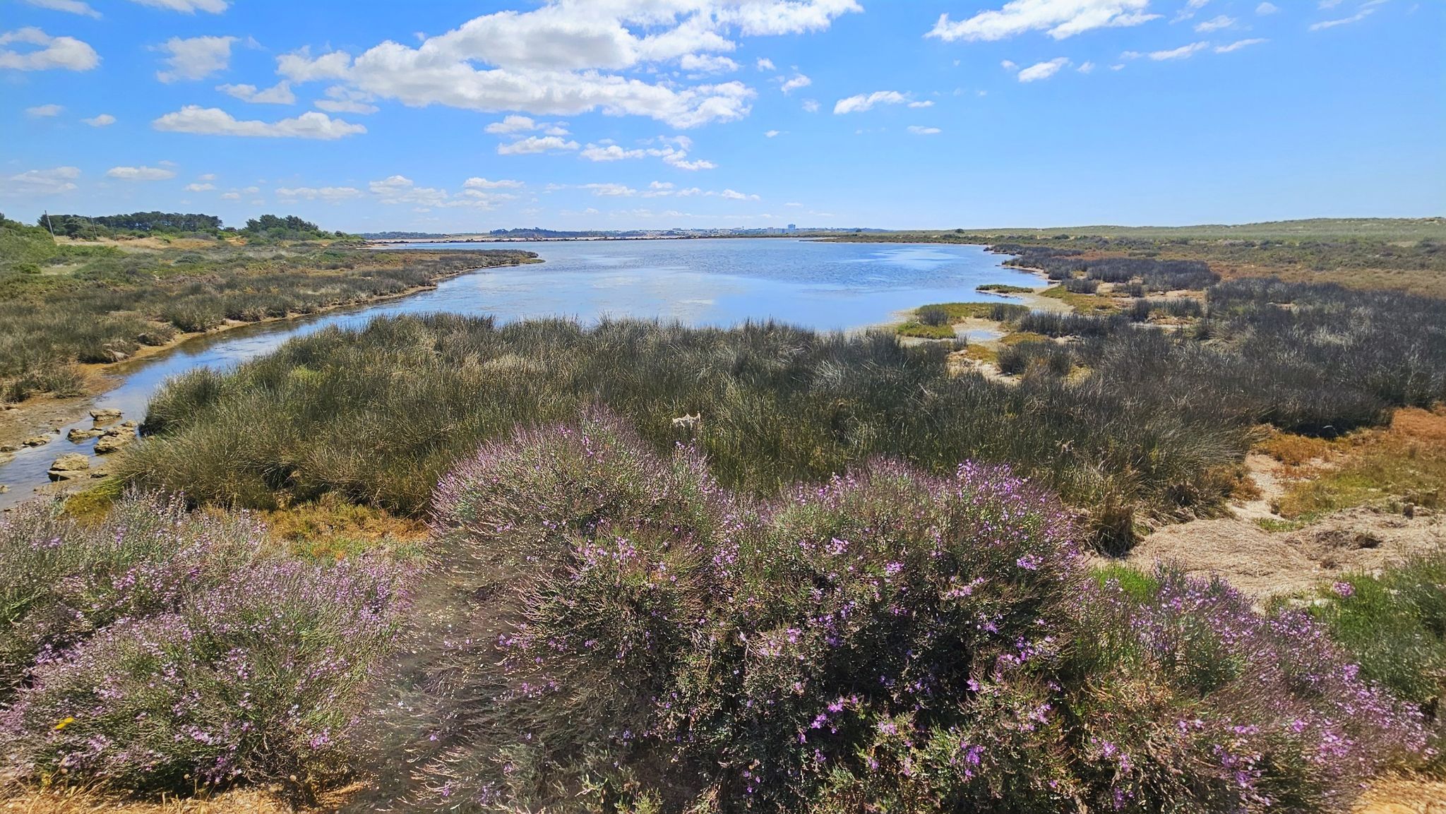 Impressionen der Lagune