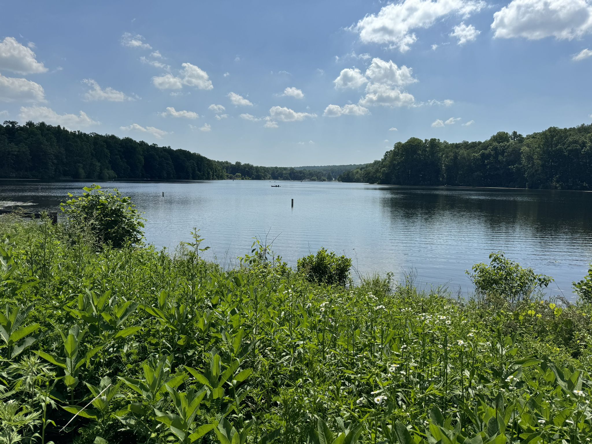 Wide lake surrounded by lush green trees under a bright blue sky. - Lenape/Mill Creek/Hopewell Furnace