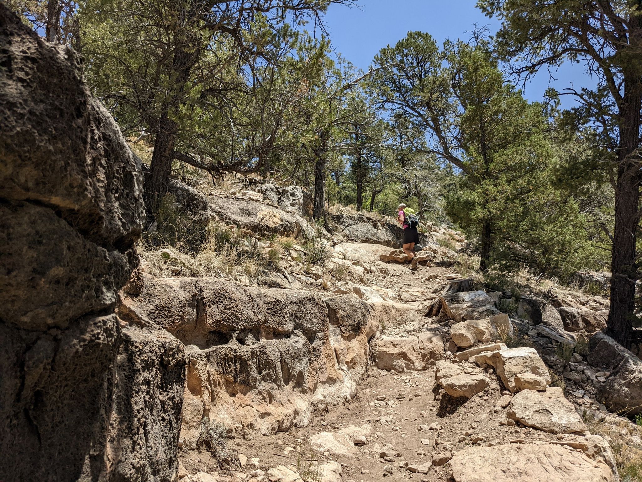 A hiker ascends a rocky, tree-lined path on a bright, sunny day. - AZT - Walnut Canyon Trail