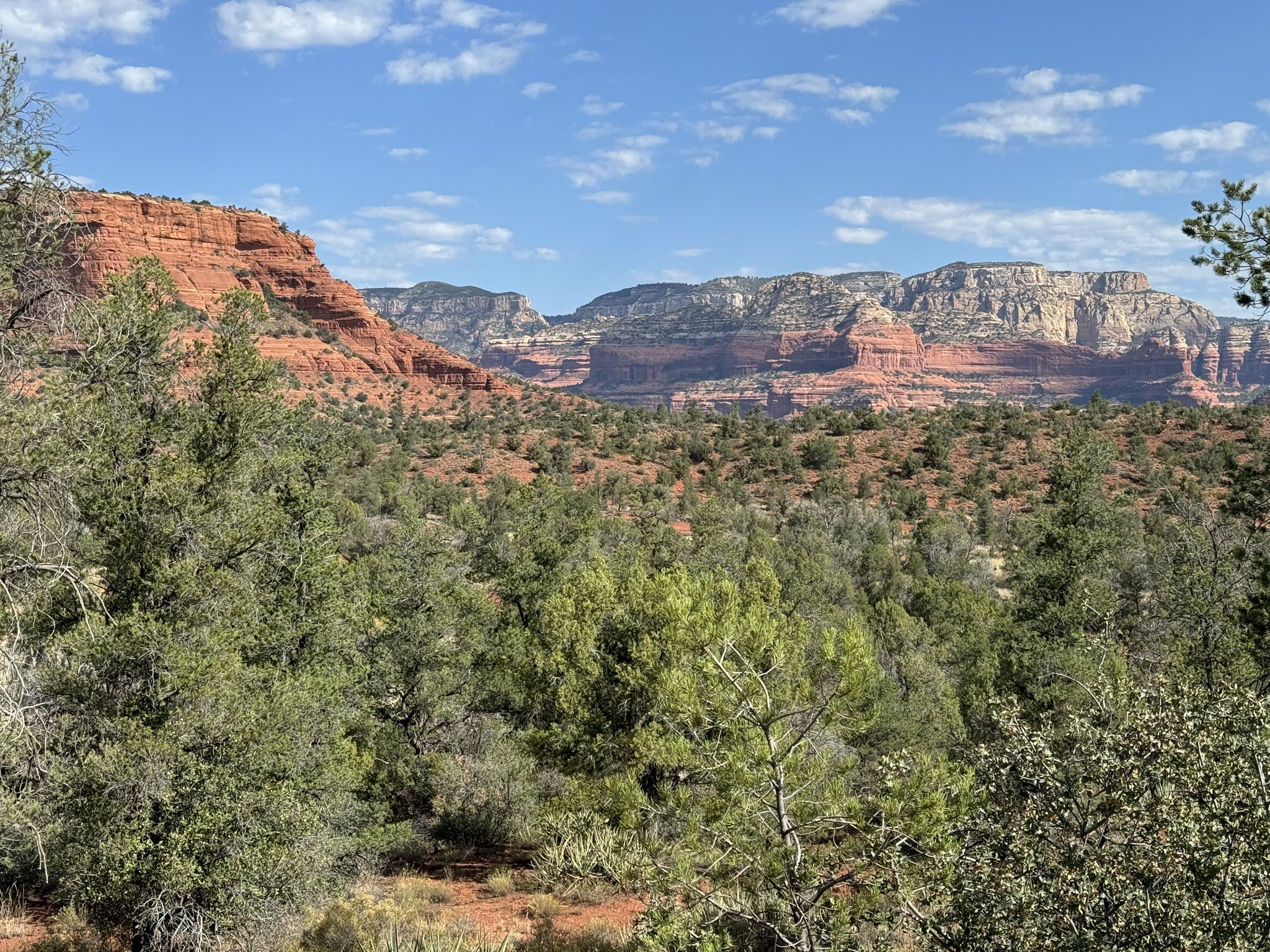 Vast landscape with green trees and distant layered red rock mountains. - Aerie and Cockscomb Loop