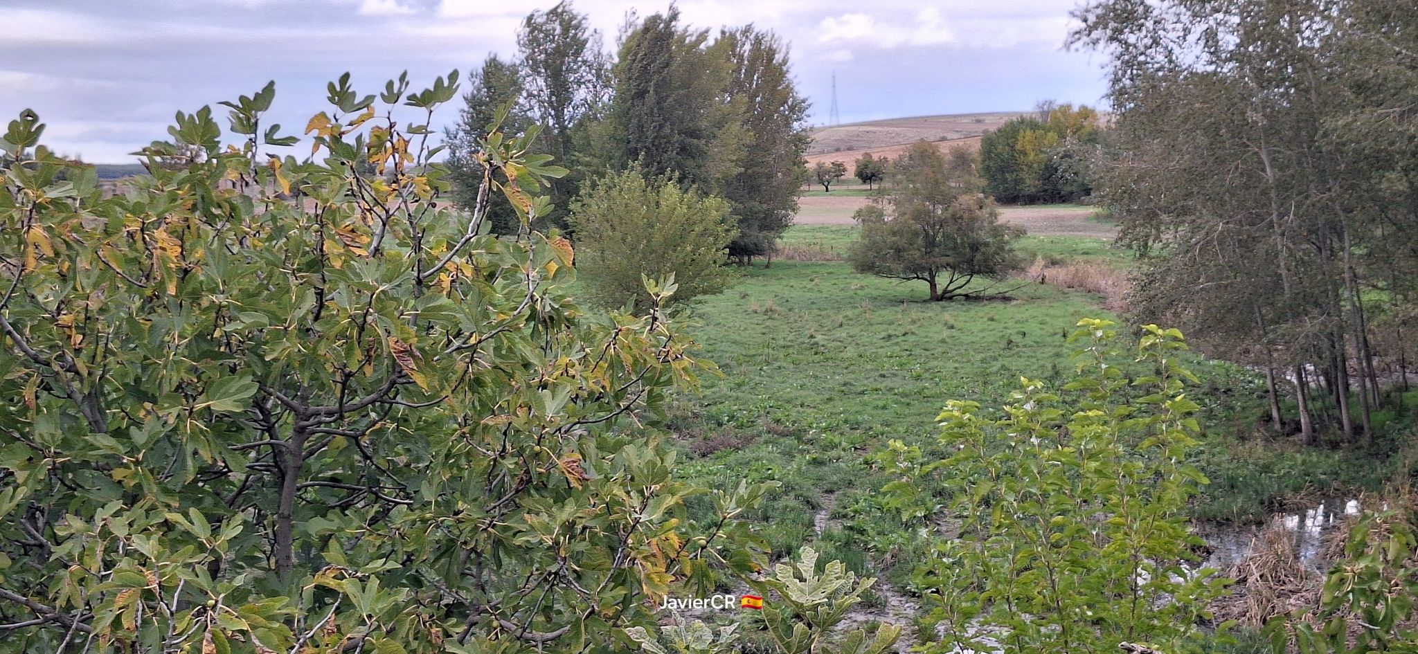 Río Guadiana – Puente de Alarcos