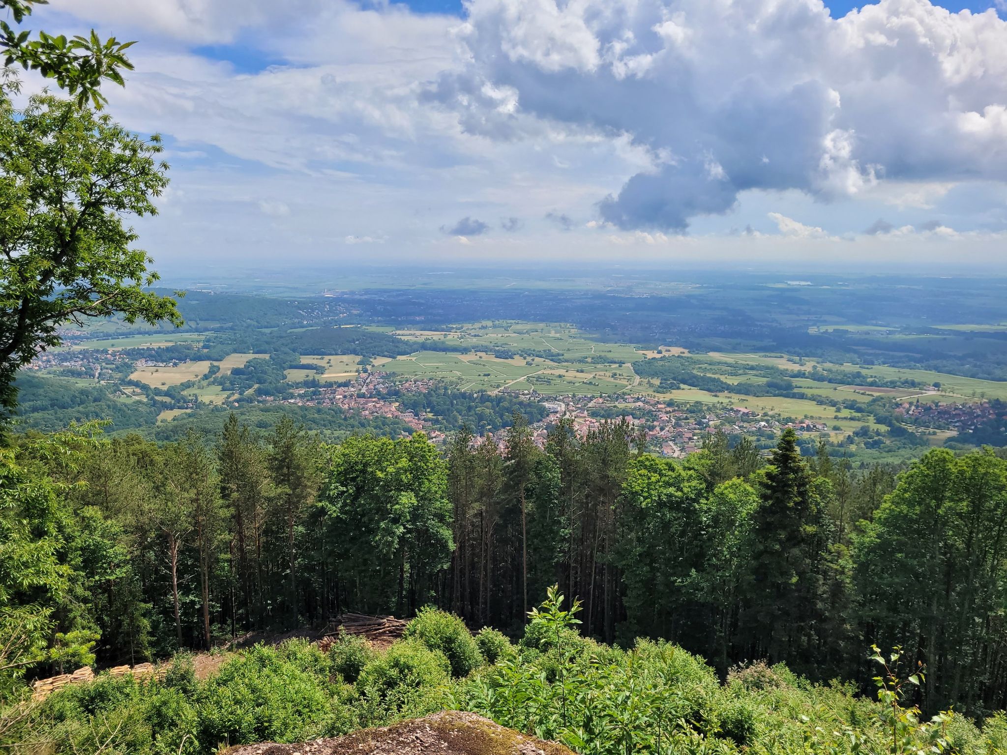 Blick vom Elsberg 675m