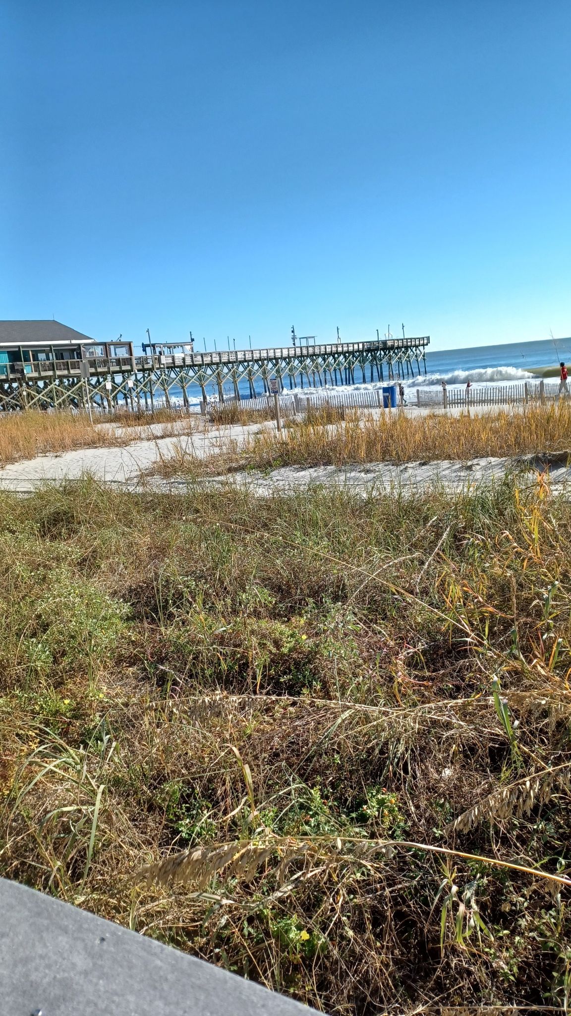 Distant pier over ocean with waves, seen from behind dry beach grass. - Second Avenue Pier loop from Myrtle Beach