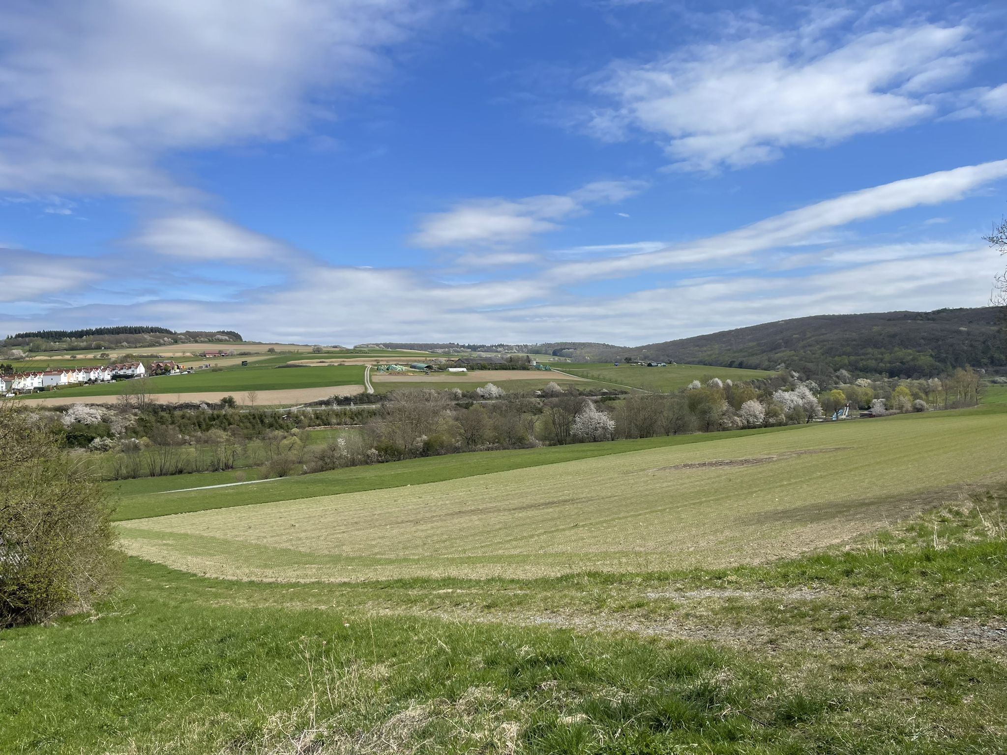 Blick an Brandy-City vorbei