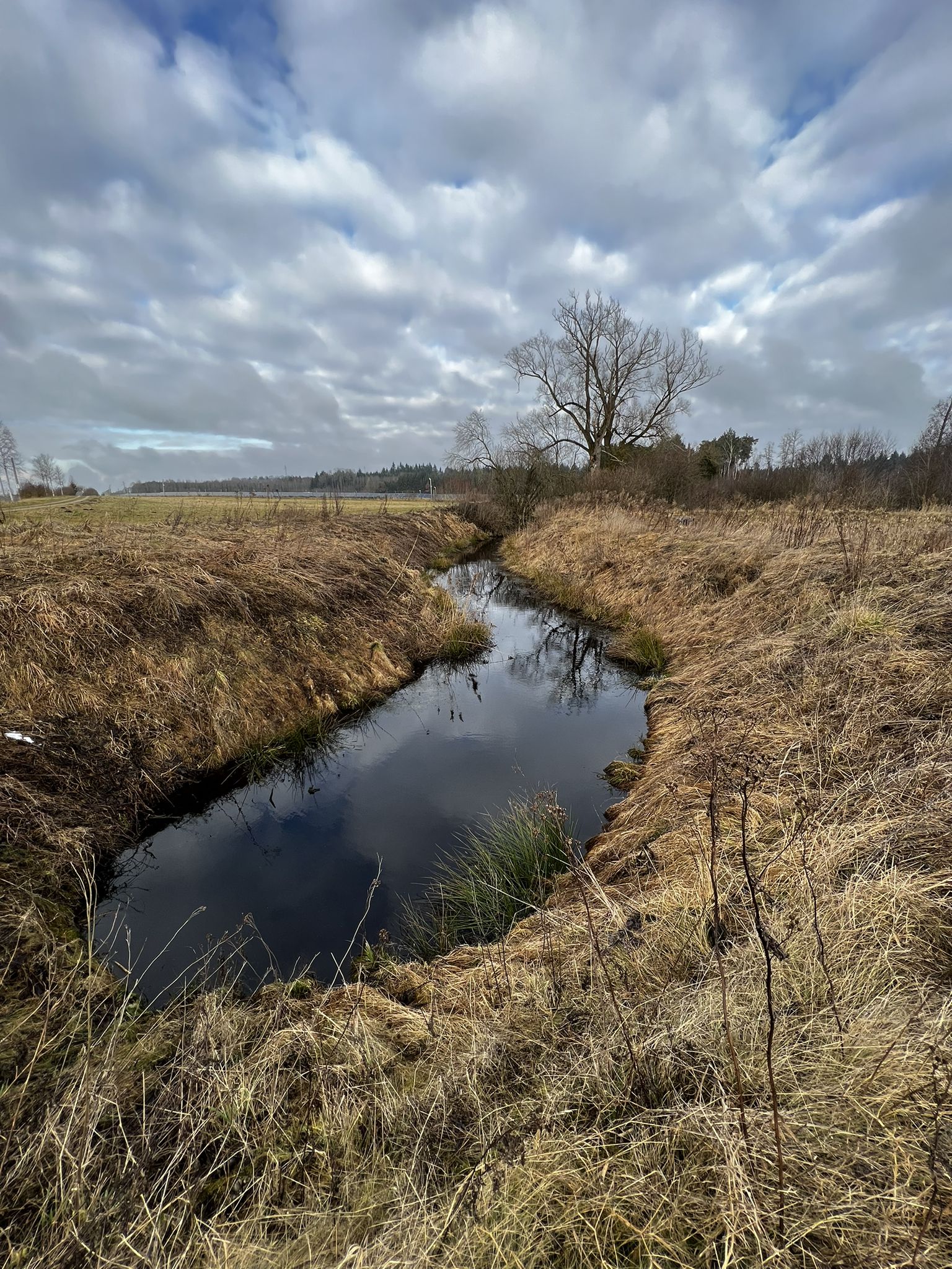 ..das Moor färbt das Wasser dunkel..