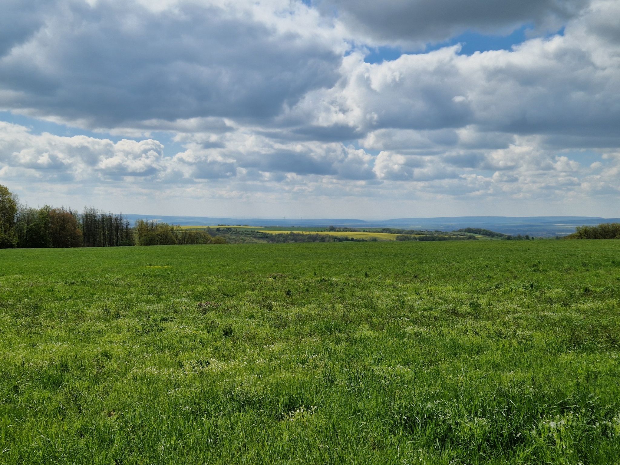 Herrlicher Blick