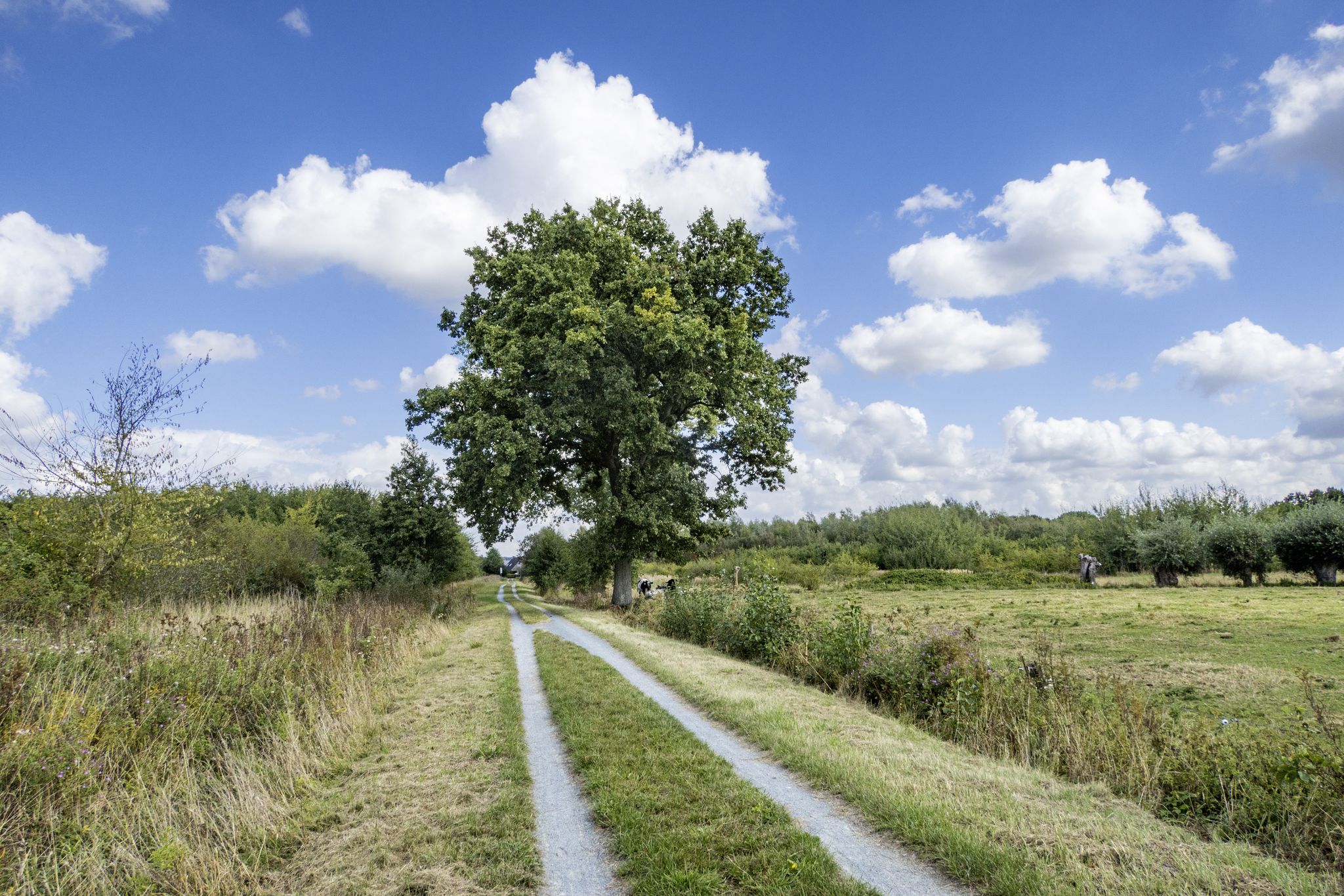 Via Scheldevelde-Zevendreven naar De Pinte
