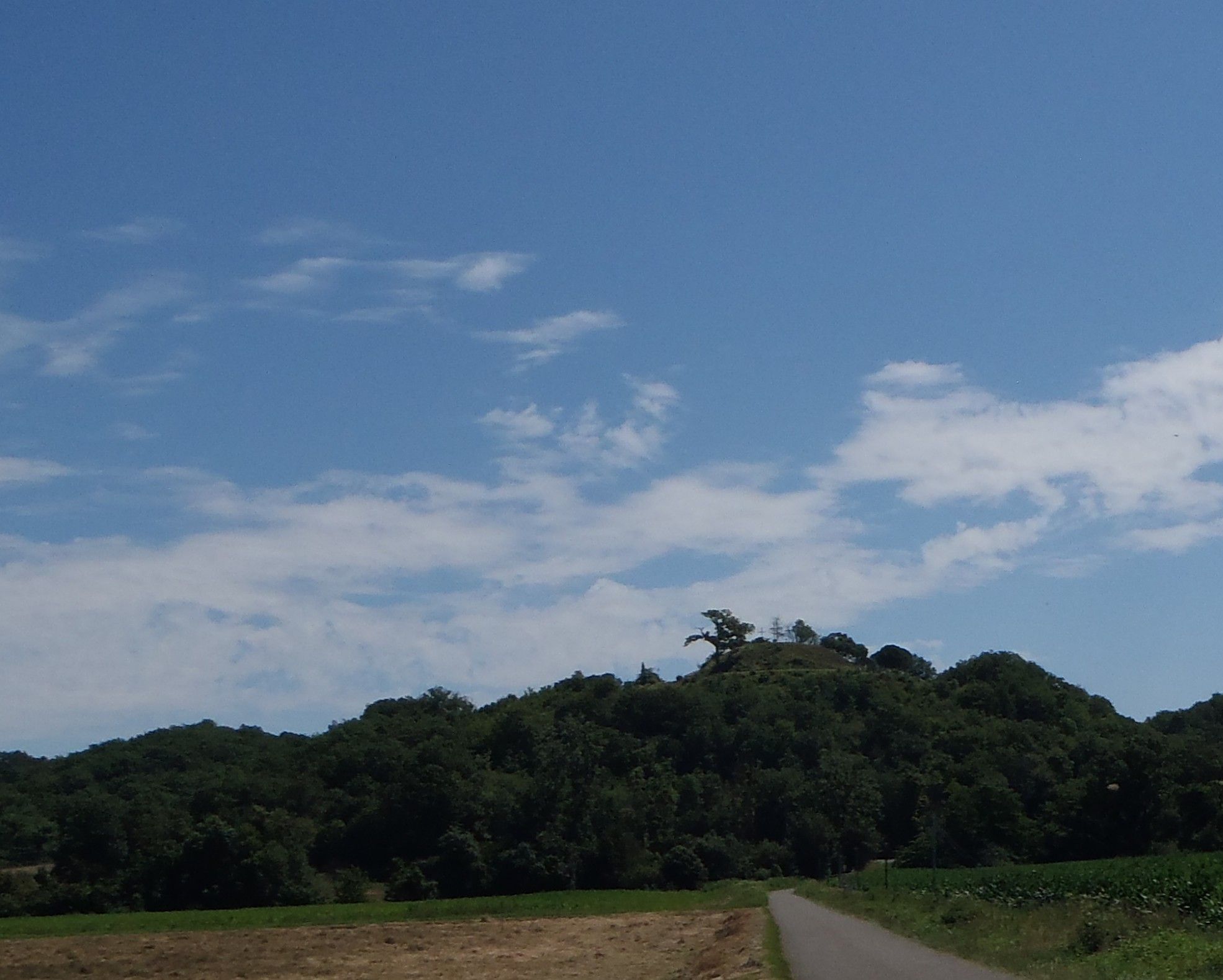 Motte de Moncassin.