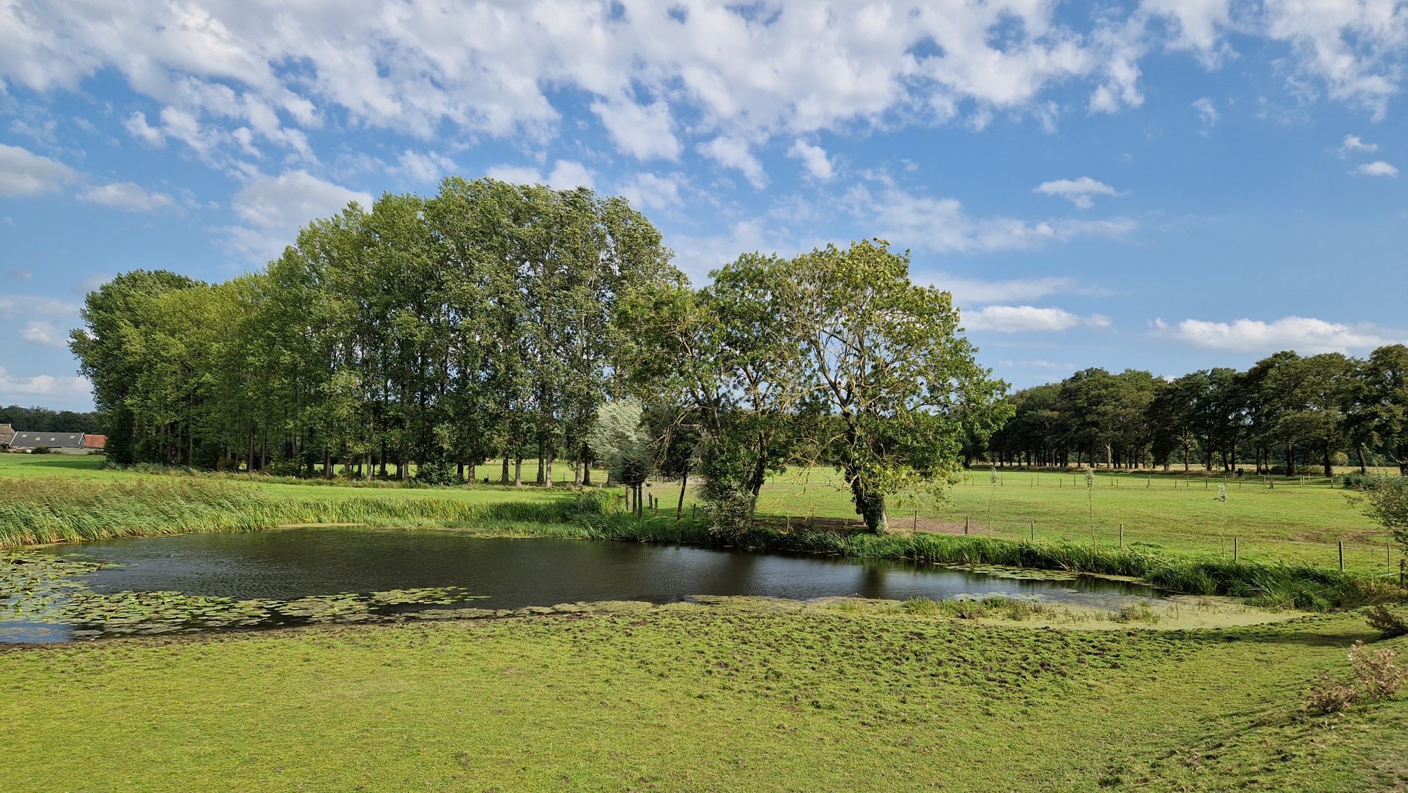 Visvijver langs de IJsseldijk