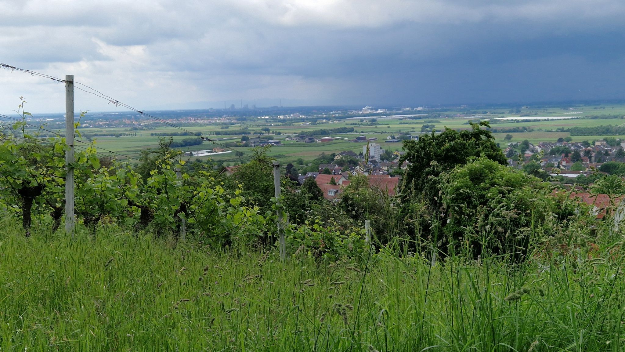 Wetterfront