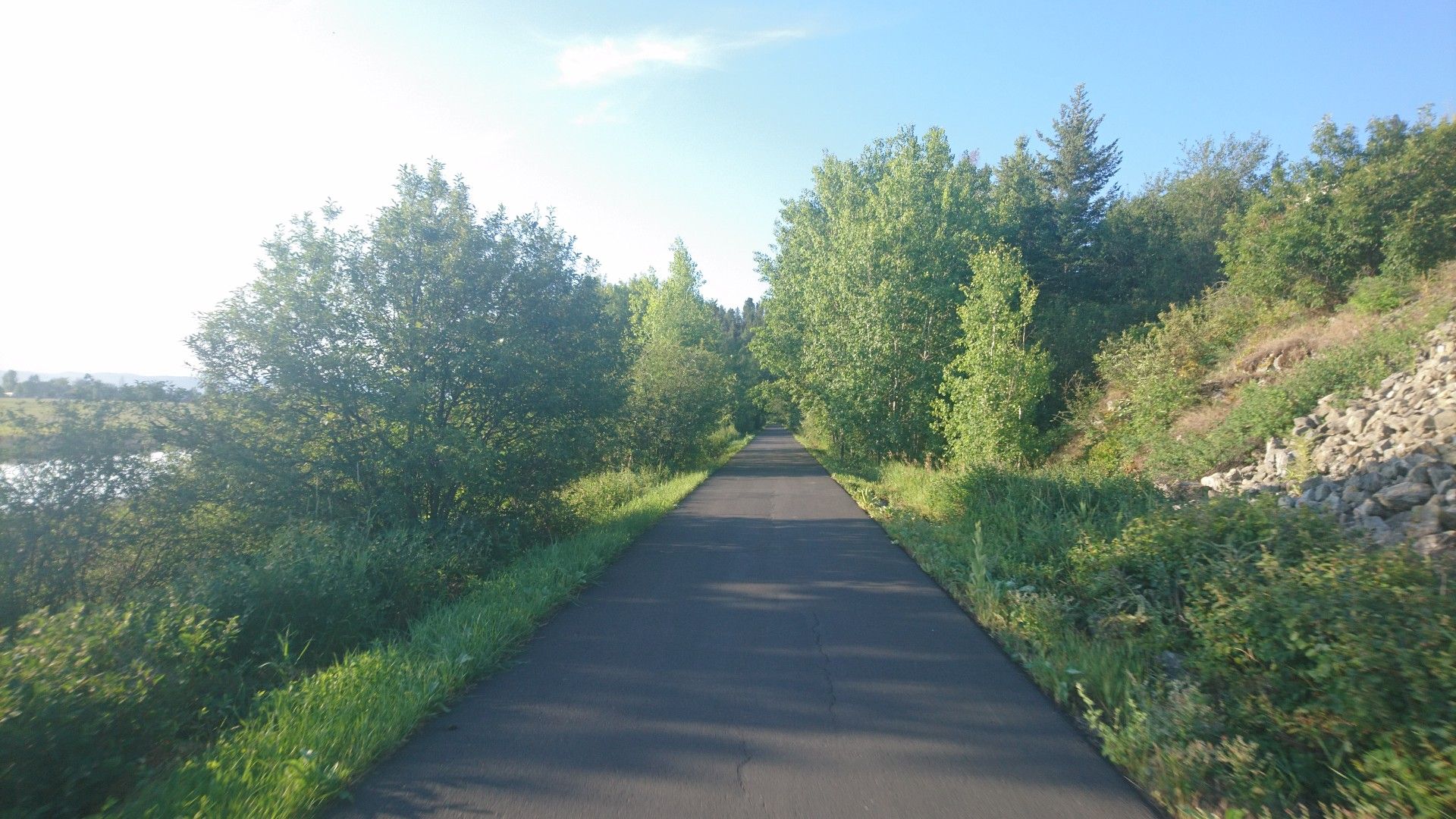 Paved trail winding through dense green foliage on a sunny day. - Great Northern Historical Trail