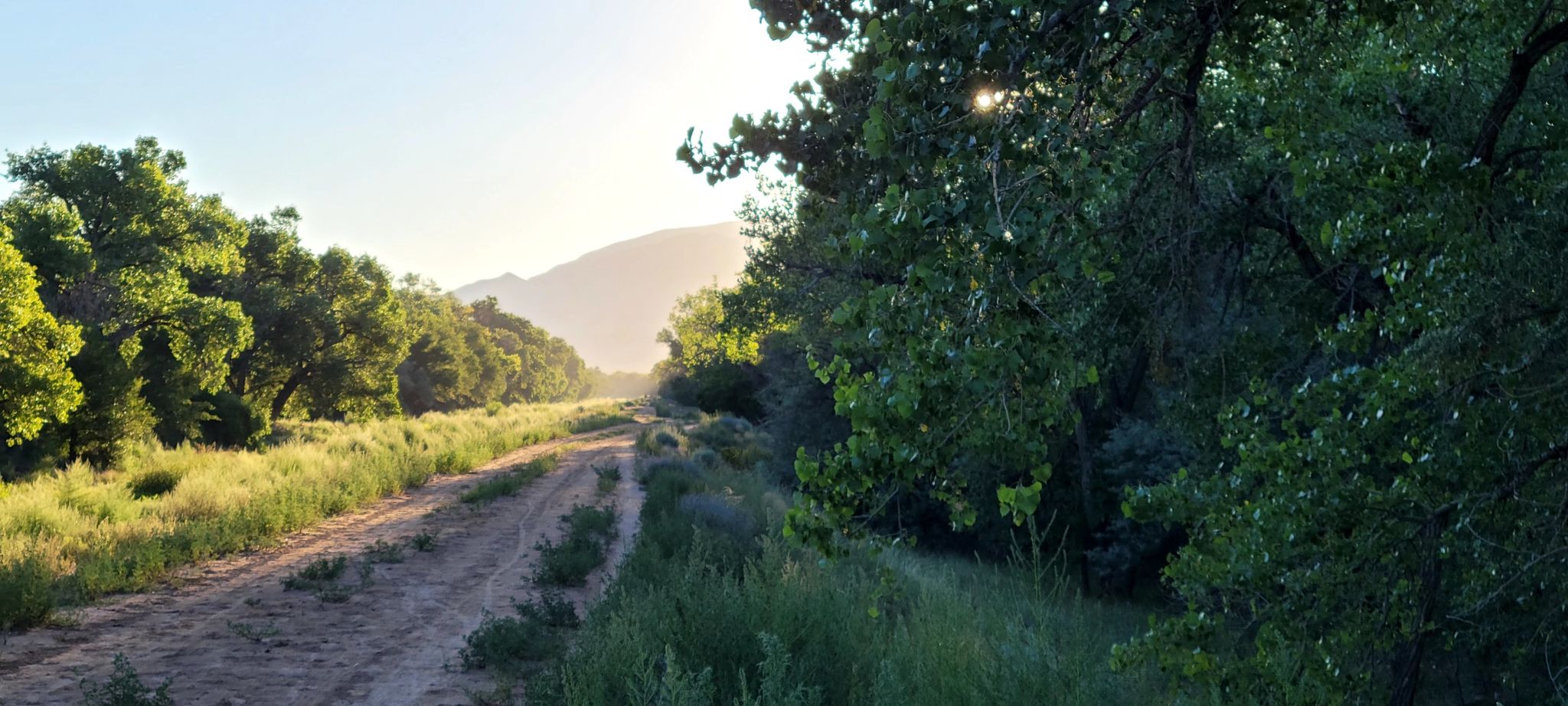 A dirt road through green trees with mountains in the distance at sunset. - Rio Grande Forest loop from Cibola High School