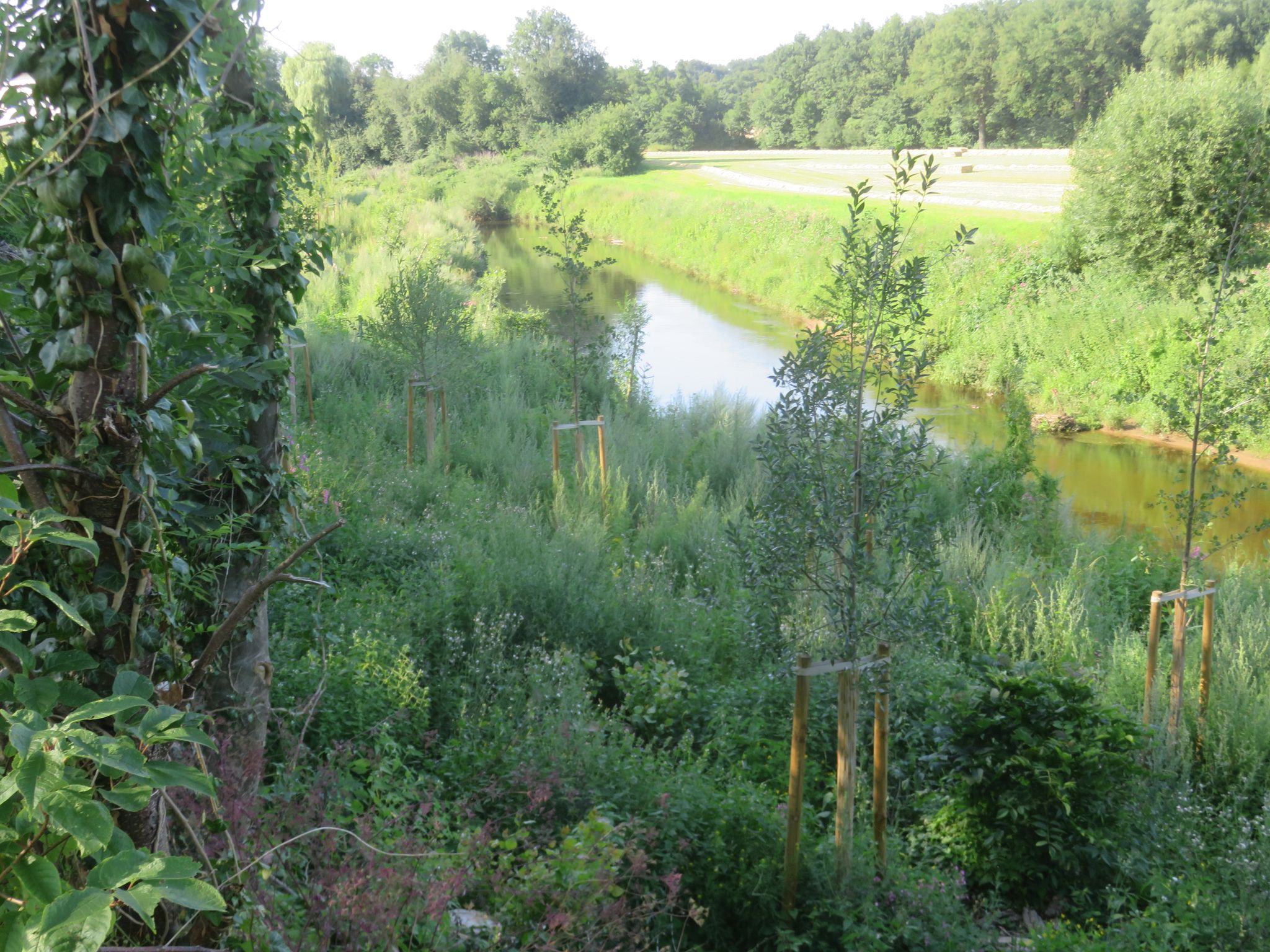 Emsaue Telgte