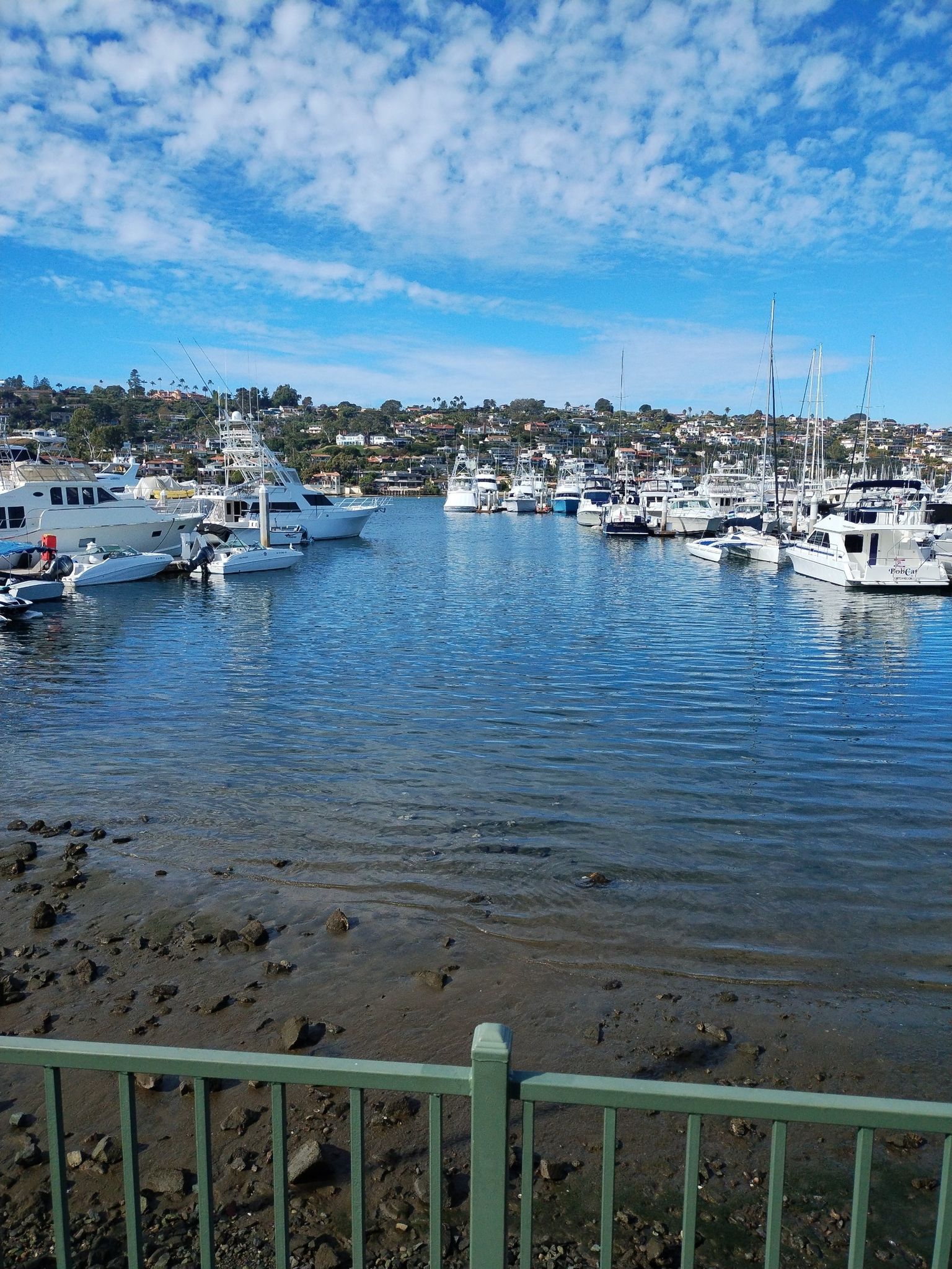 Sunny marina with numerous boats and a distant hillside under blue sky. - Shelter Island Loop