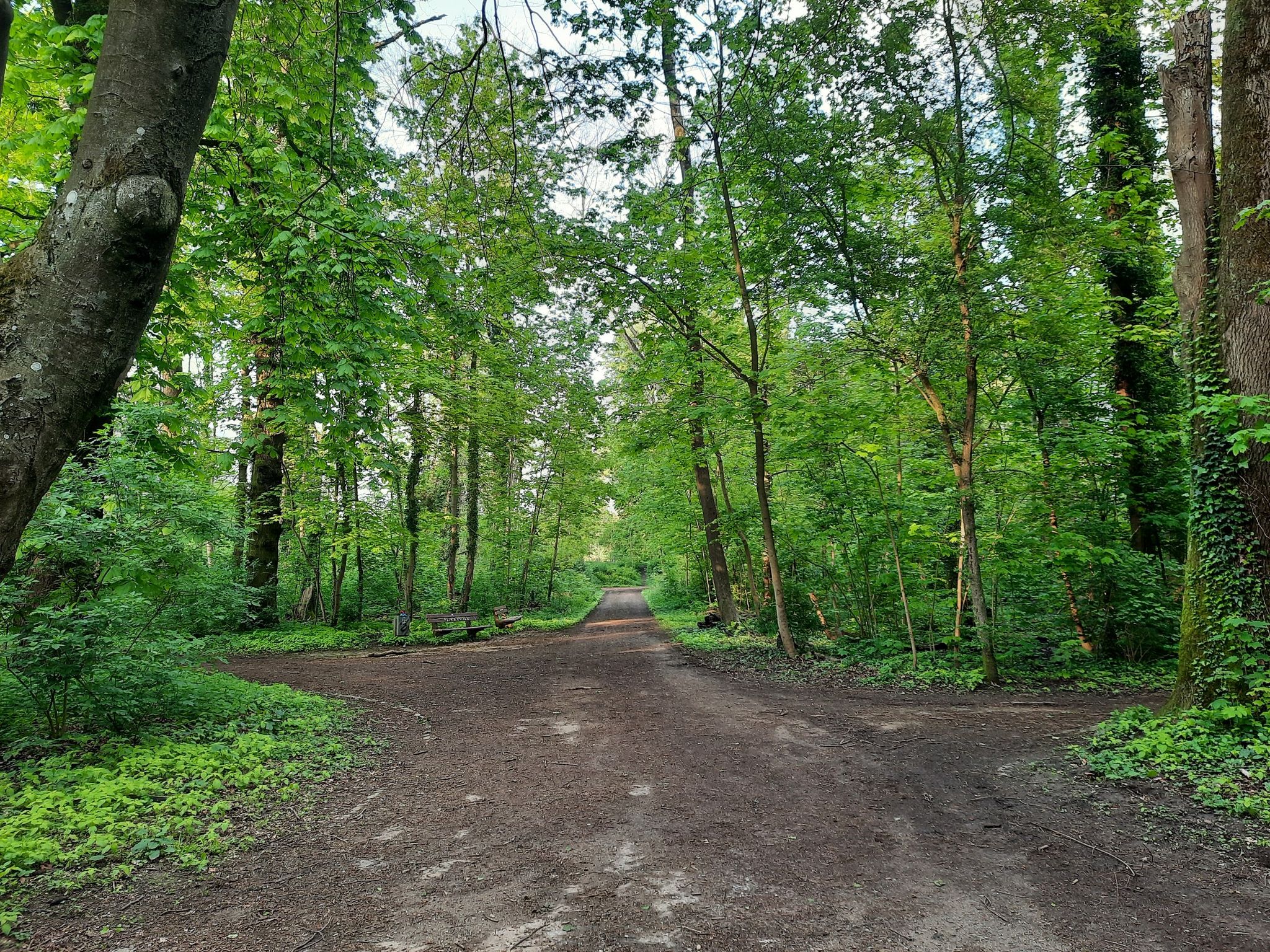Stadtwald