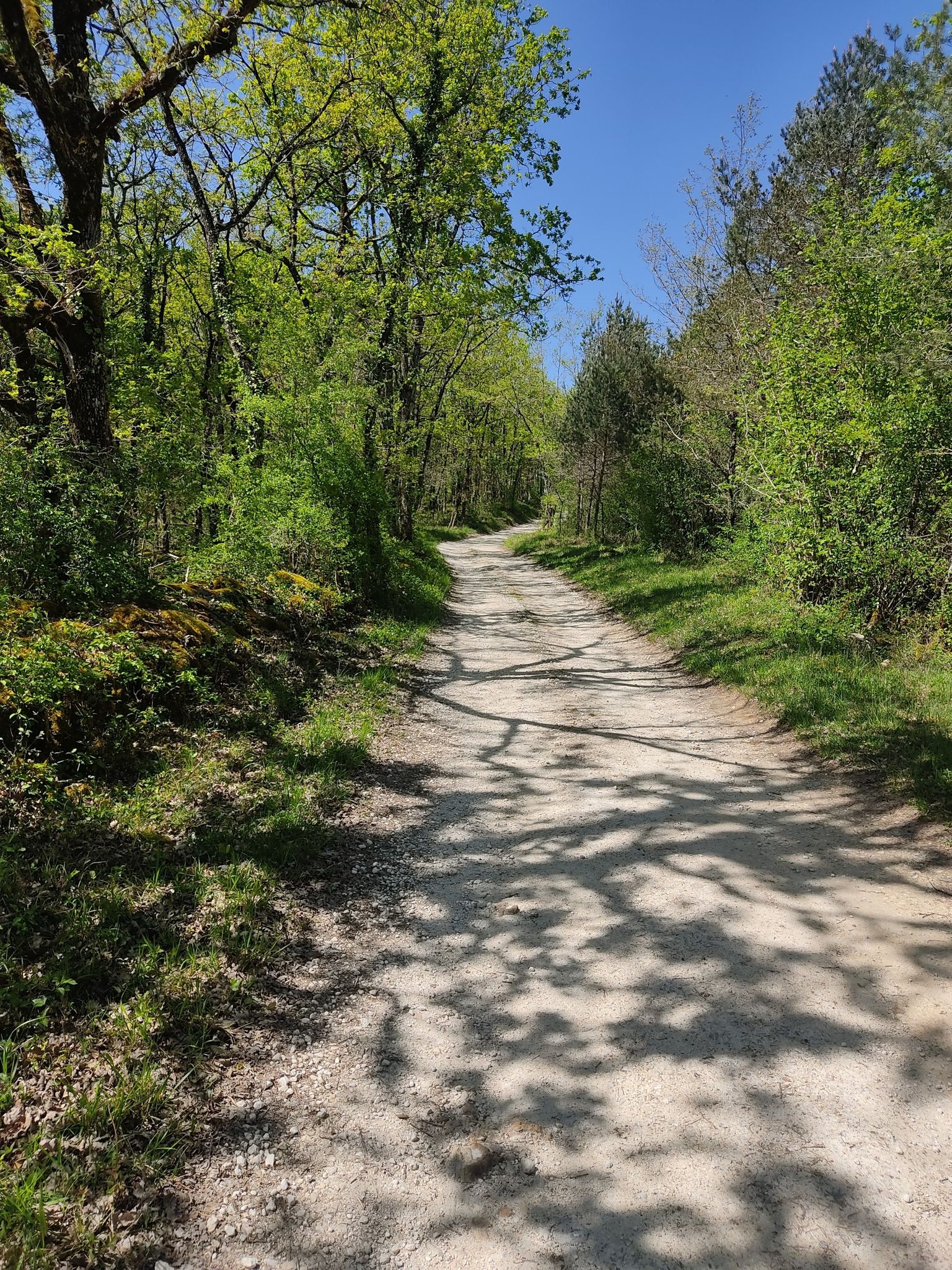 chemin blanc