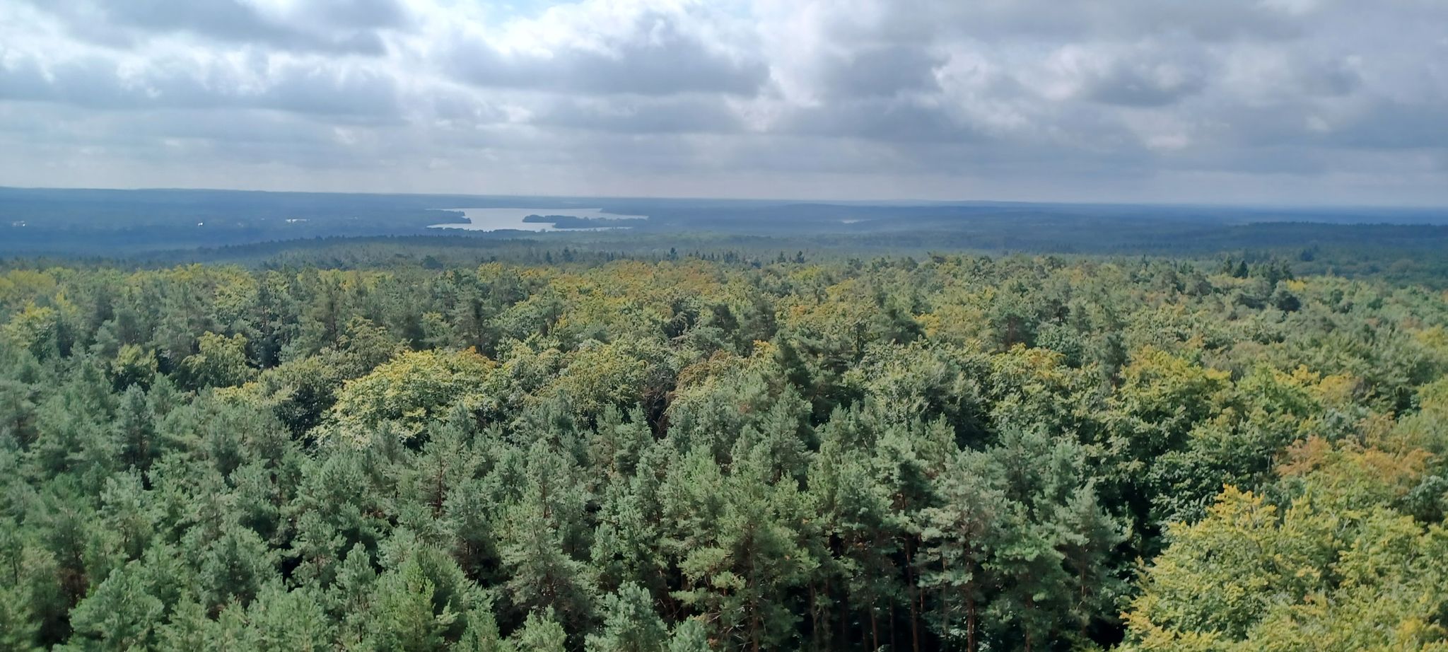 Weitblick vom Turm Richtung Scharmützelsee
