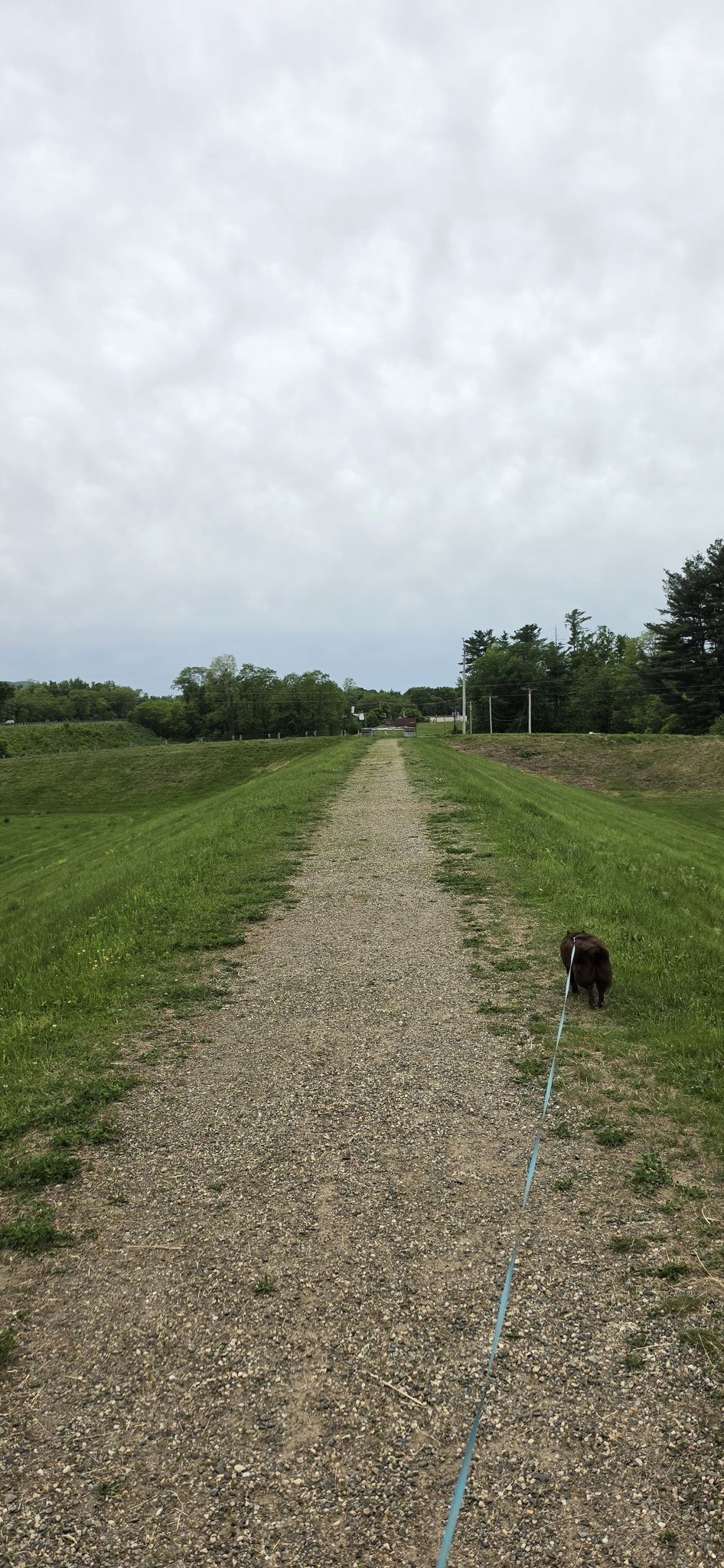 End of Dike