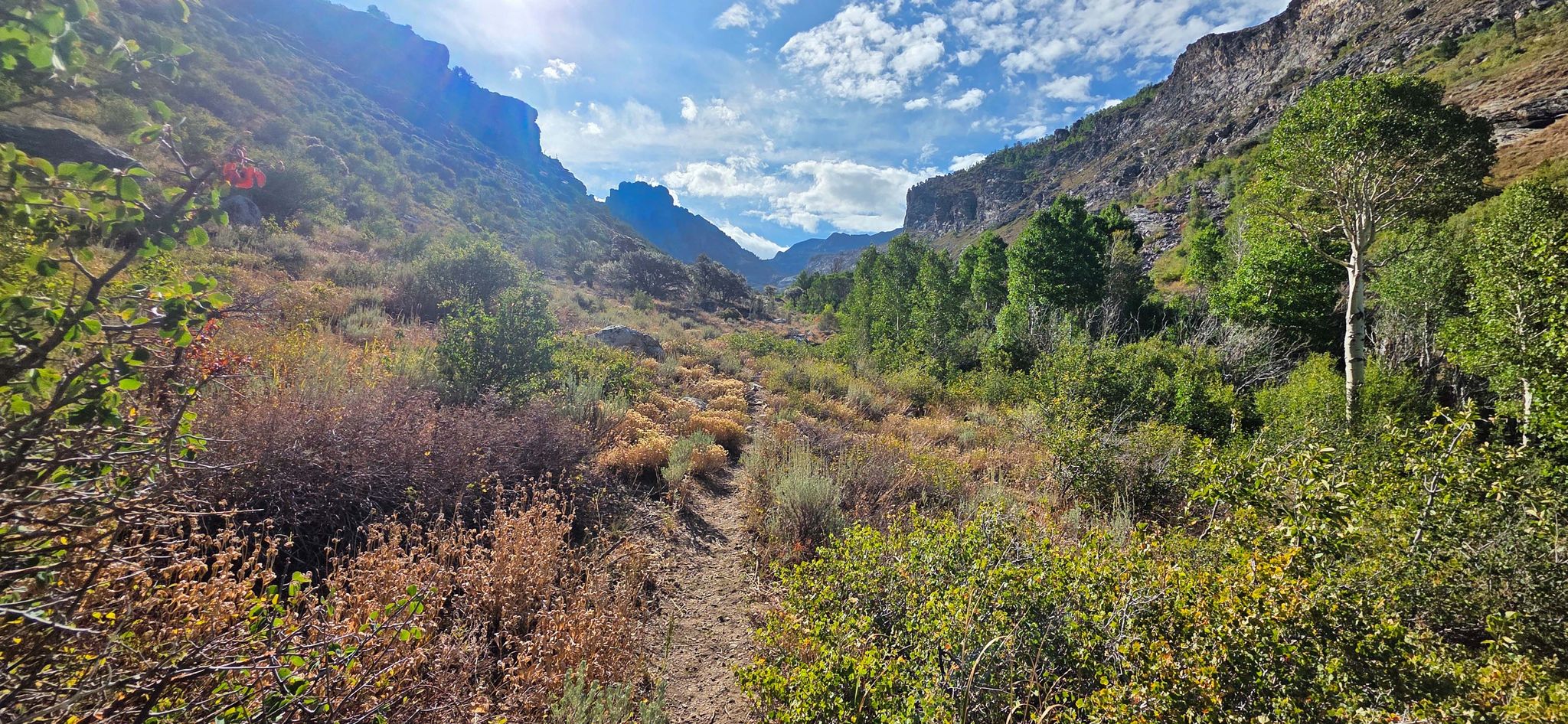 Sunny mountain valley with a winding path through green and autumn foliage. - Ruby Dome via Hennen Canyon Trail