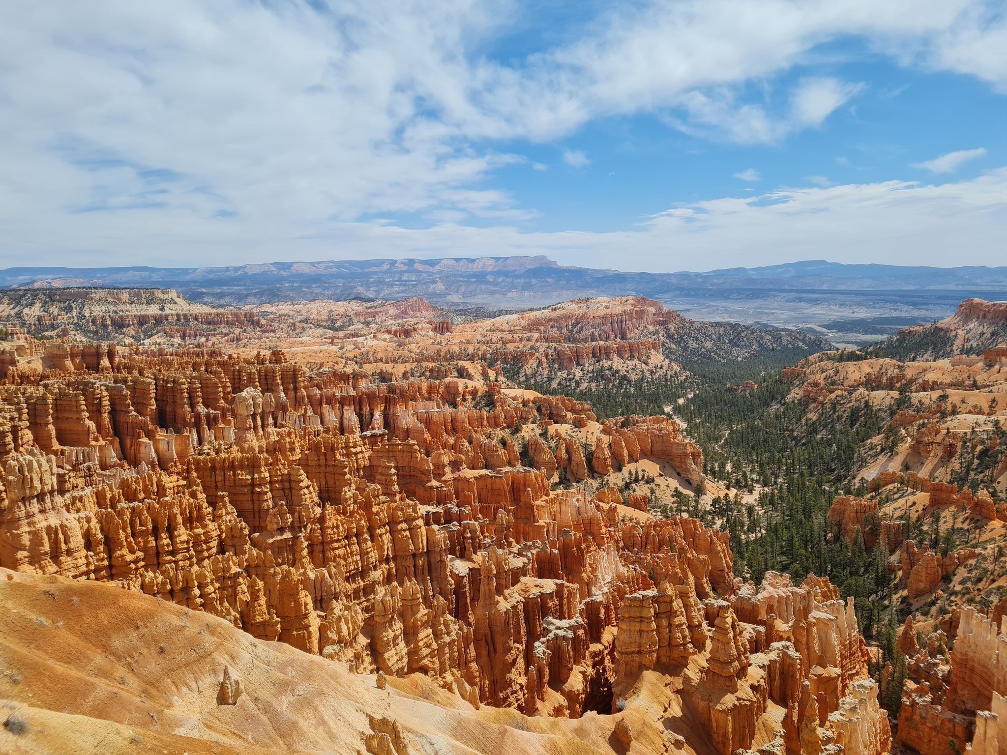 Wide view of a sprawling canyon with countless orange hoodoos and green forest. - Inspiration Point – Lower Inspiration Point loop from Inspiration Point