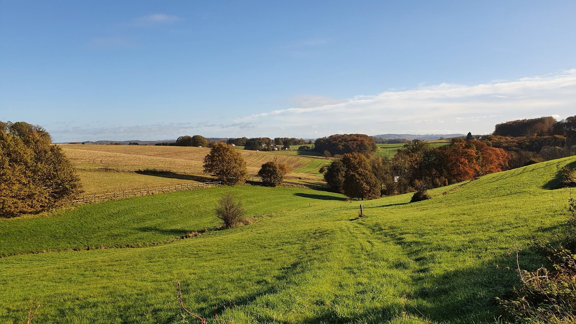 Felder u. Wiesen bei Oberkollenbach