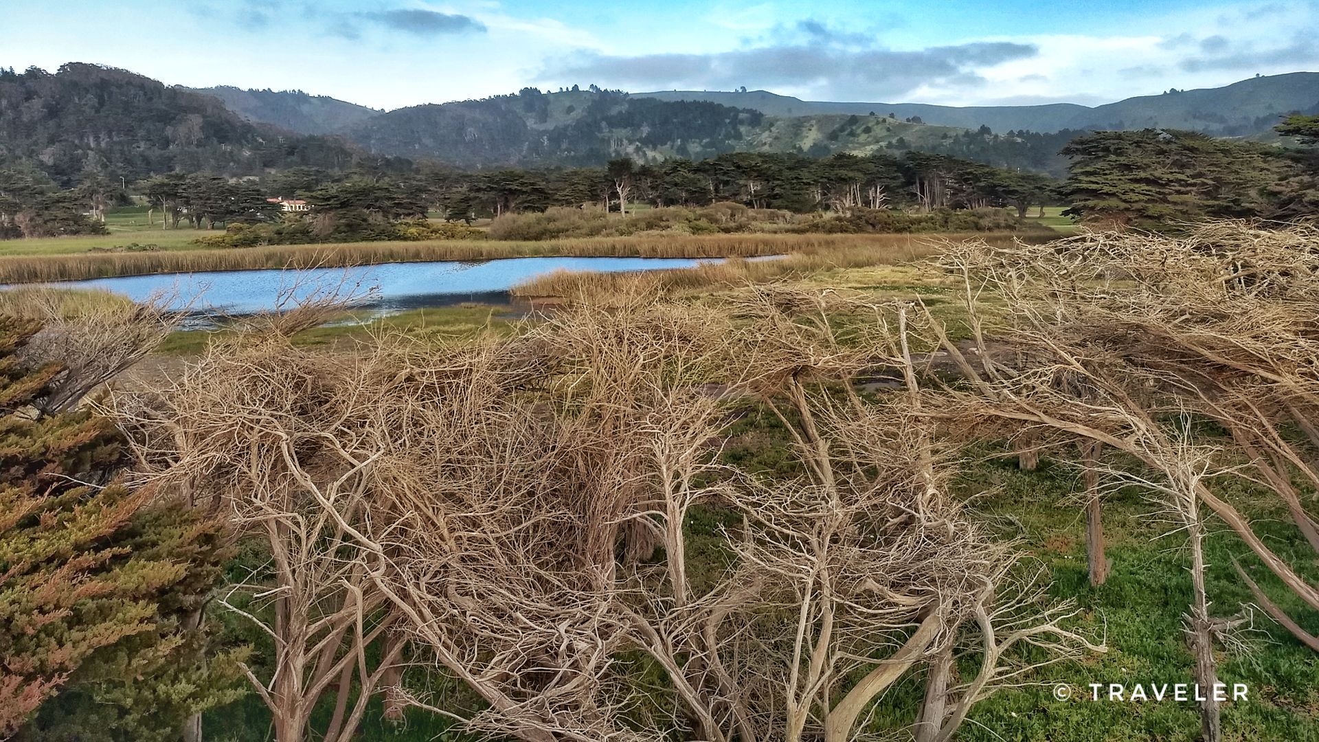 Still pond surrounded by bare and green trees, with distant hills under soft light. - Mori Point Headlands – Rockaway Beach loop from Milagra Ridge