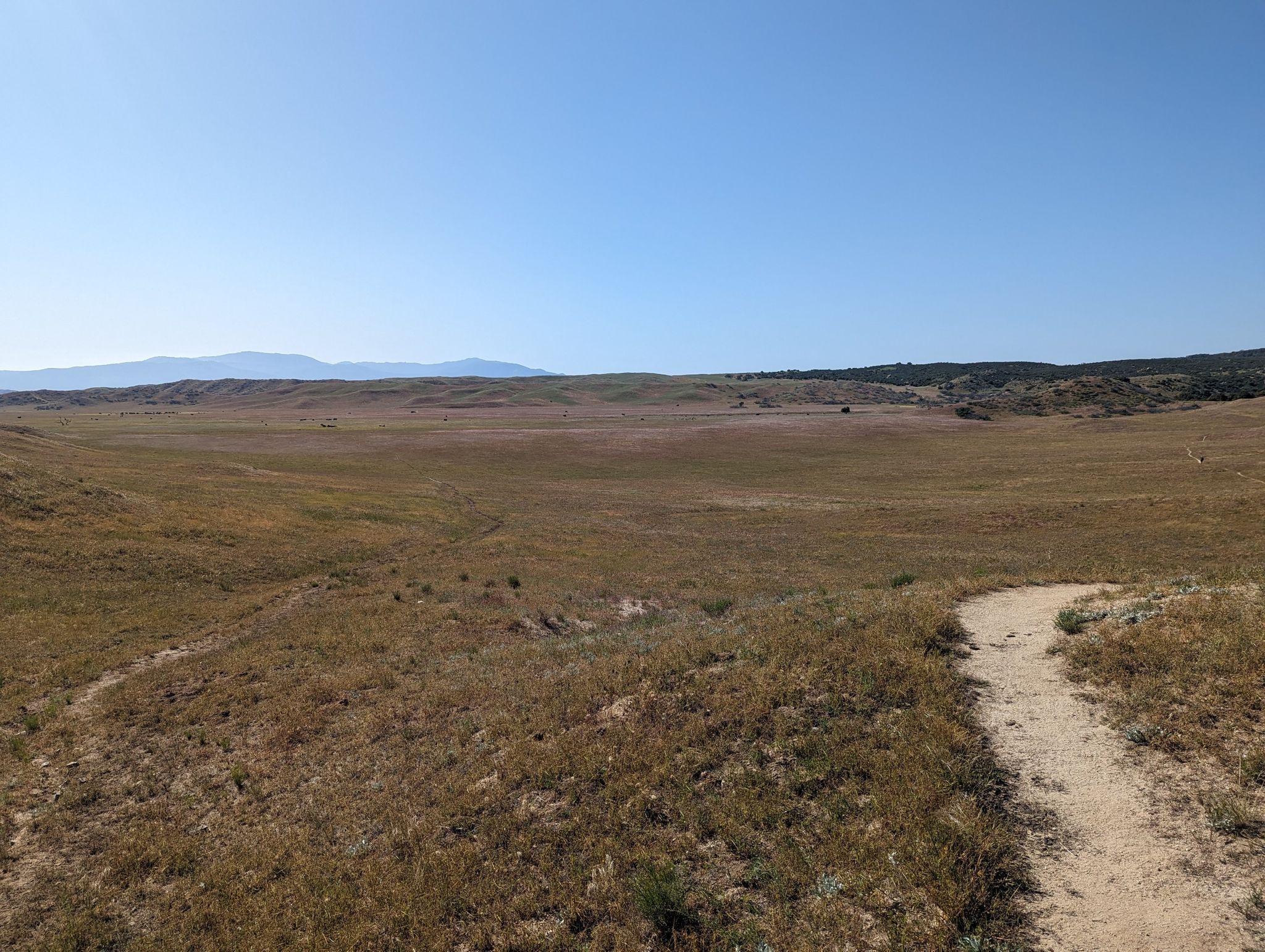 A winding dirt path through a wide, dry grassy valley under a clear sky. - Eagle Rock via Pacific Crest Trail