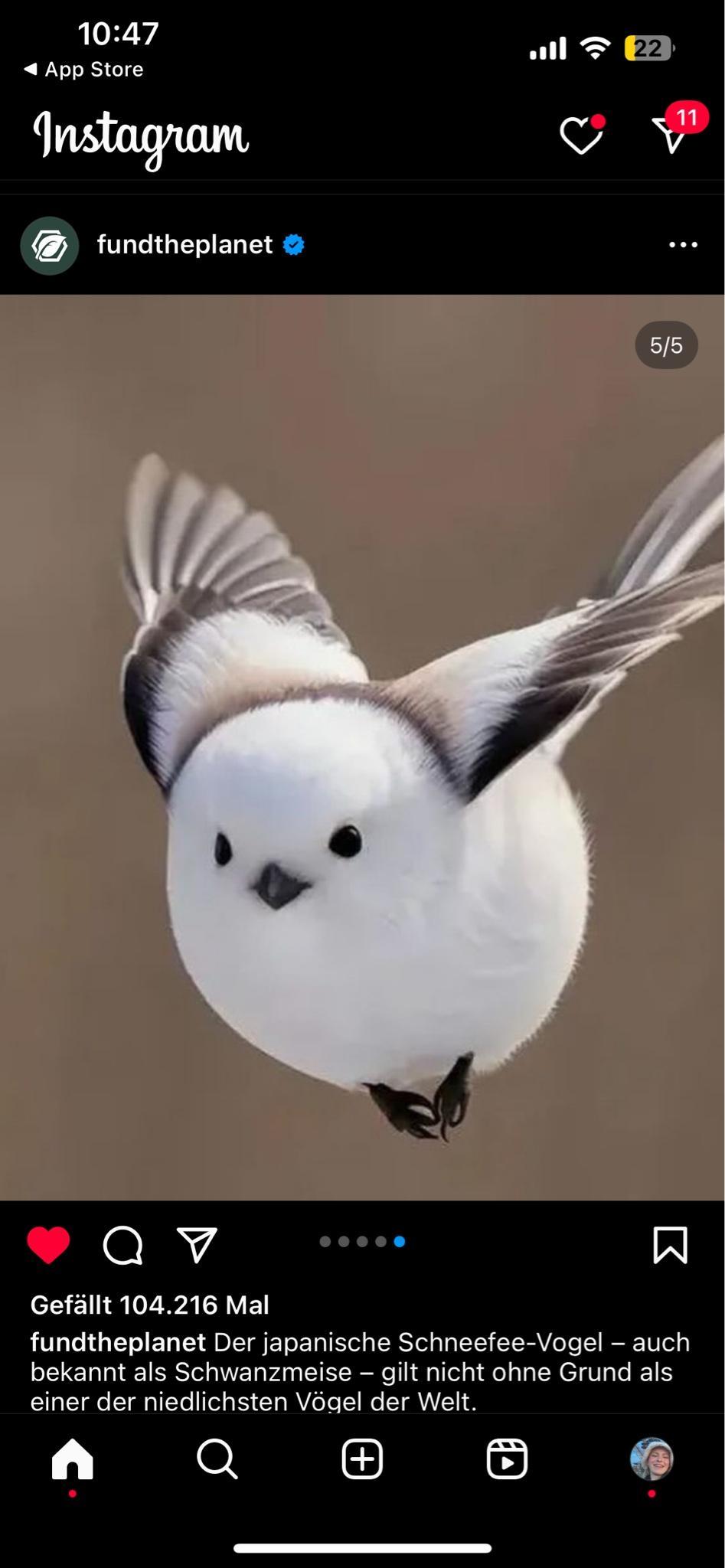 user avatar