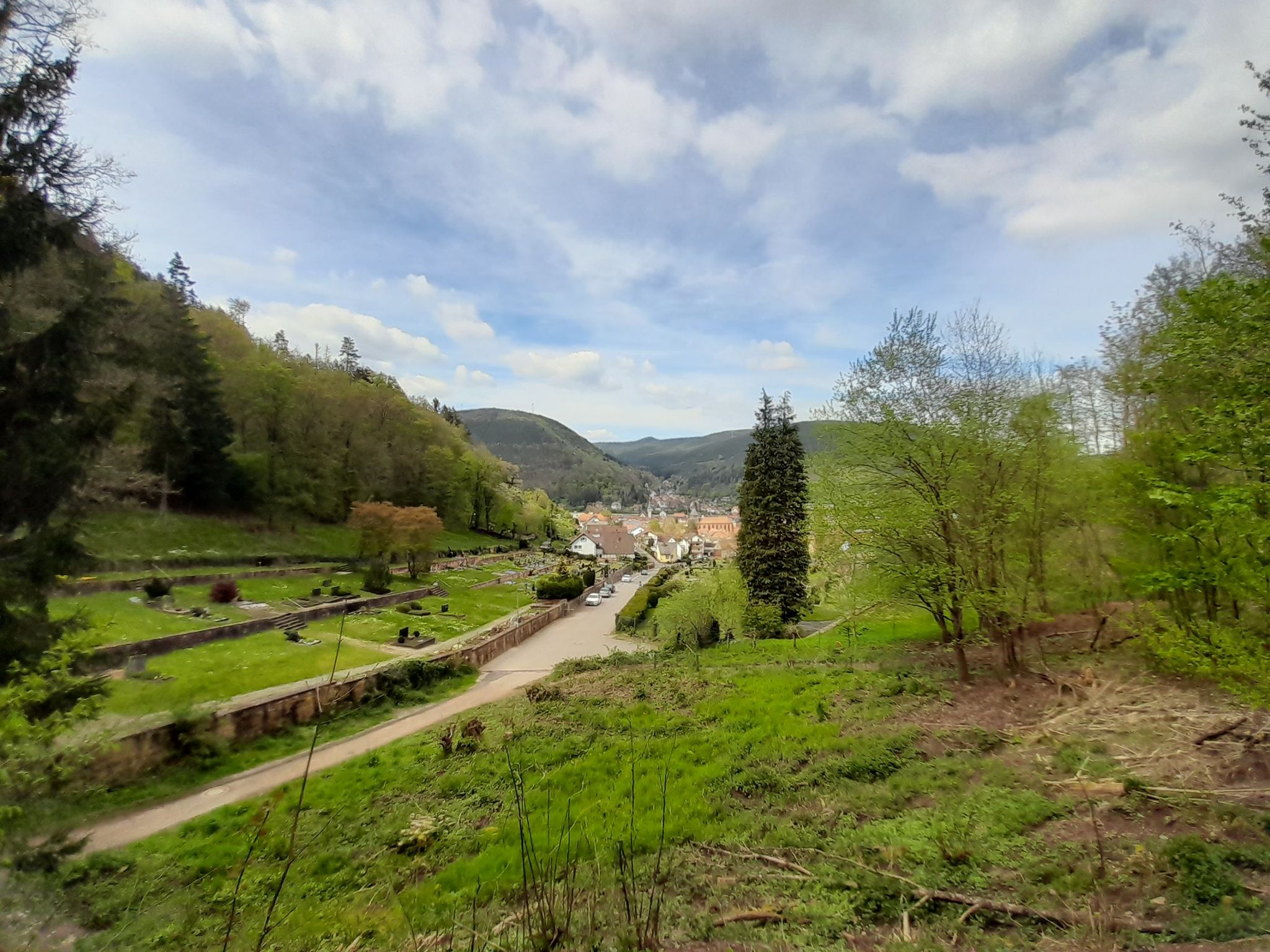 Blick auf Lambrecht