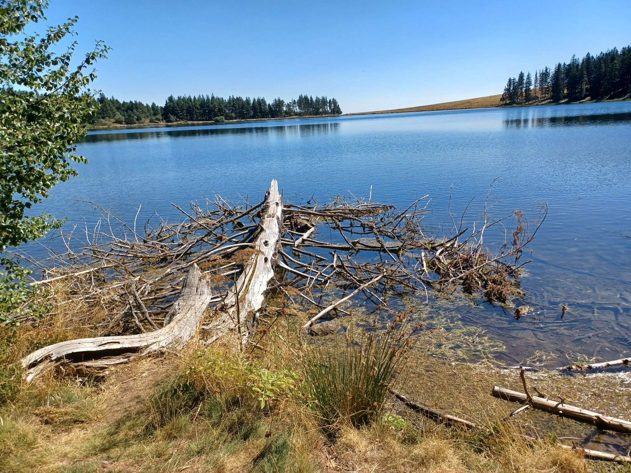 lac de Servieres