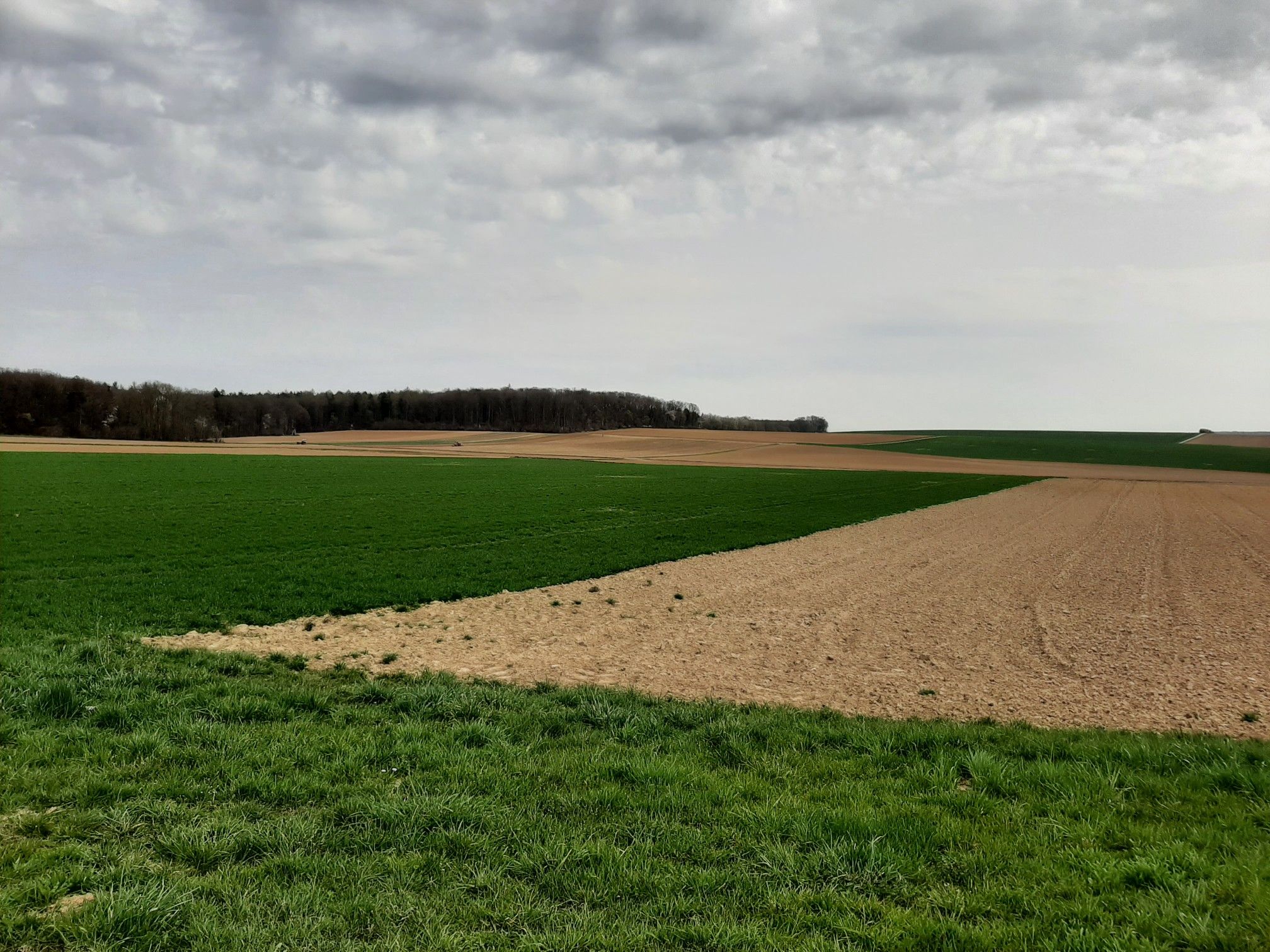 Feld und Wald bei Massenbach