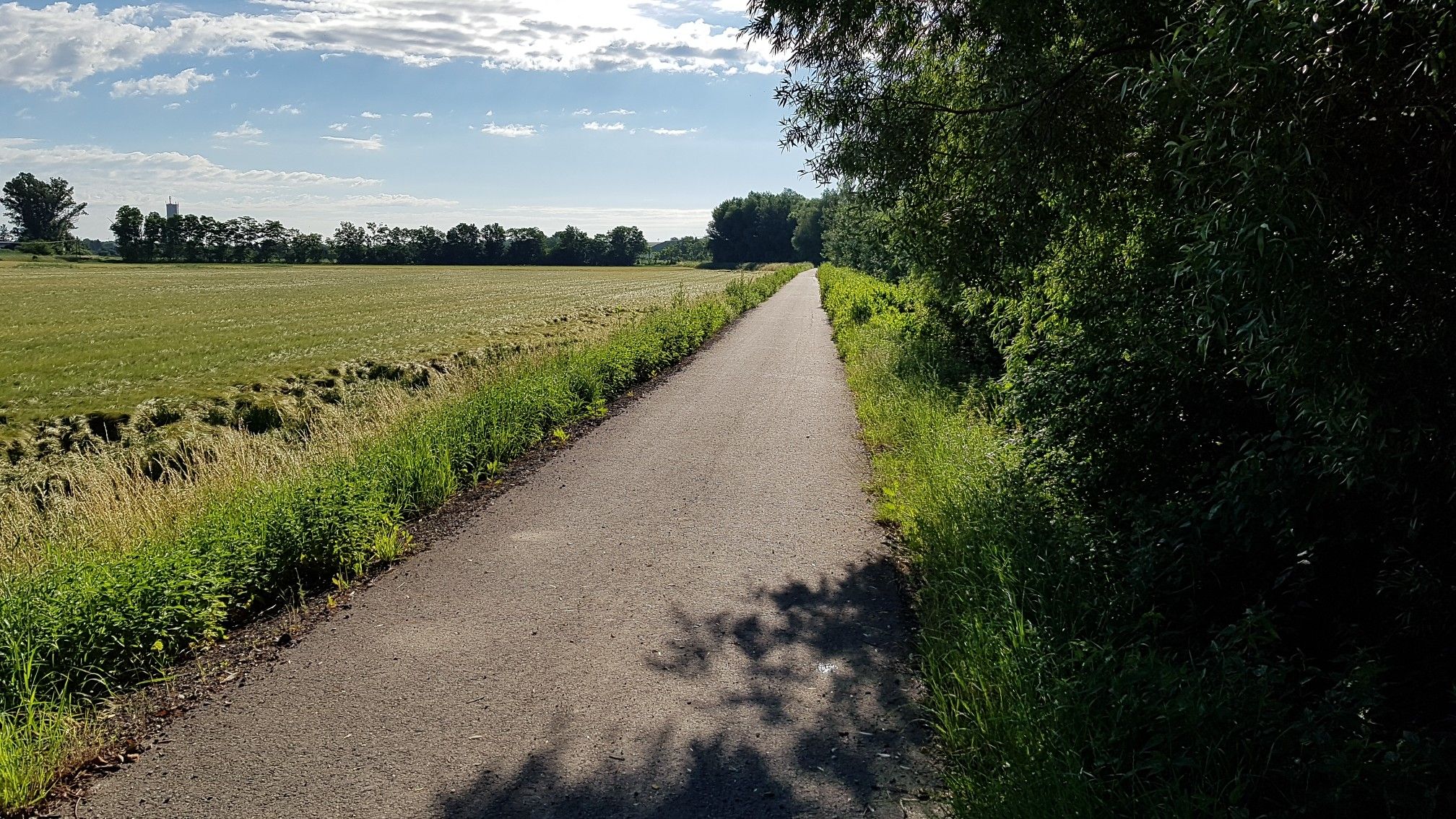 Radweg vor Wilfersdorf