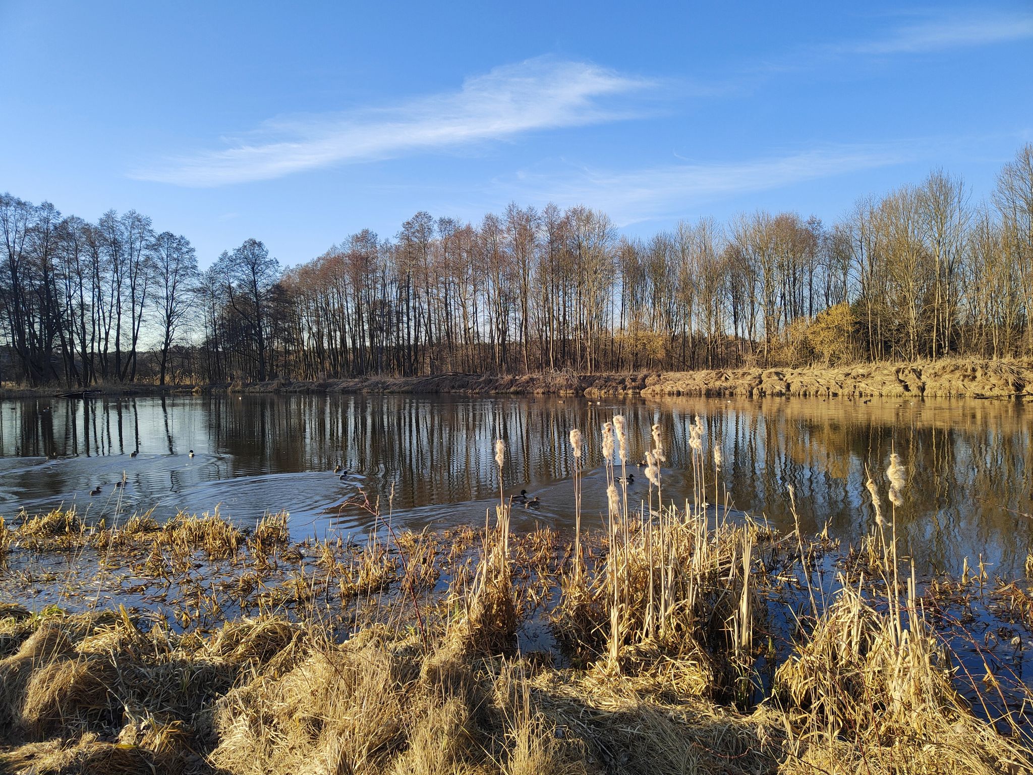 "Przedwiosenny"