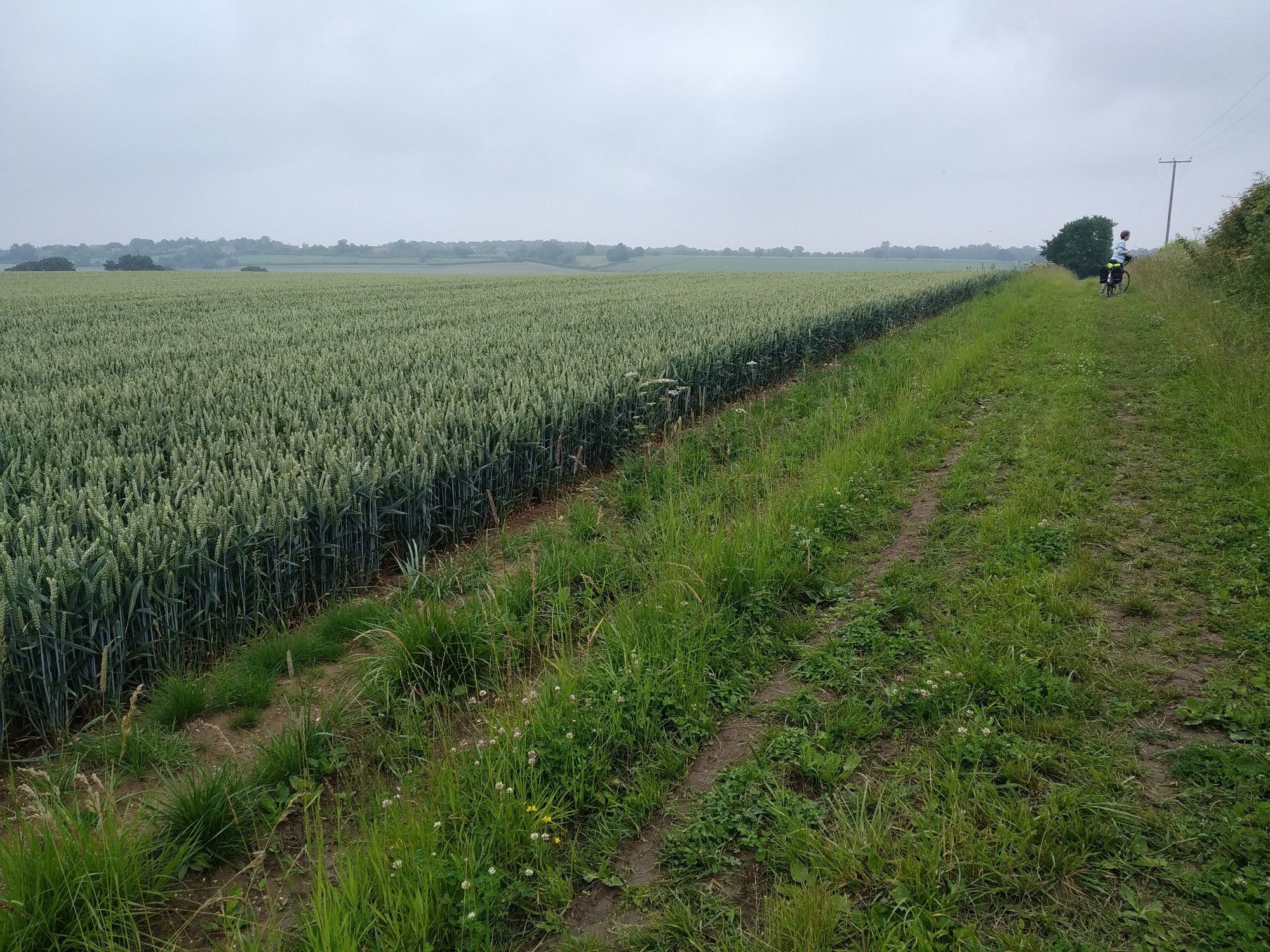 peaceful unpaved track